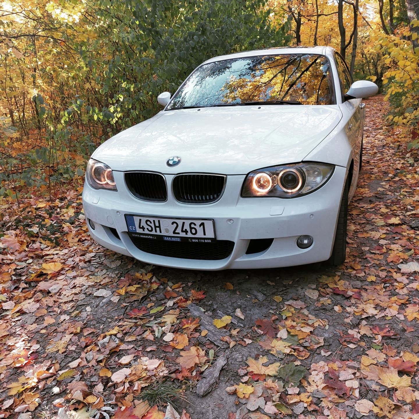 BMW Řada 1, BMW 120i