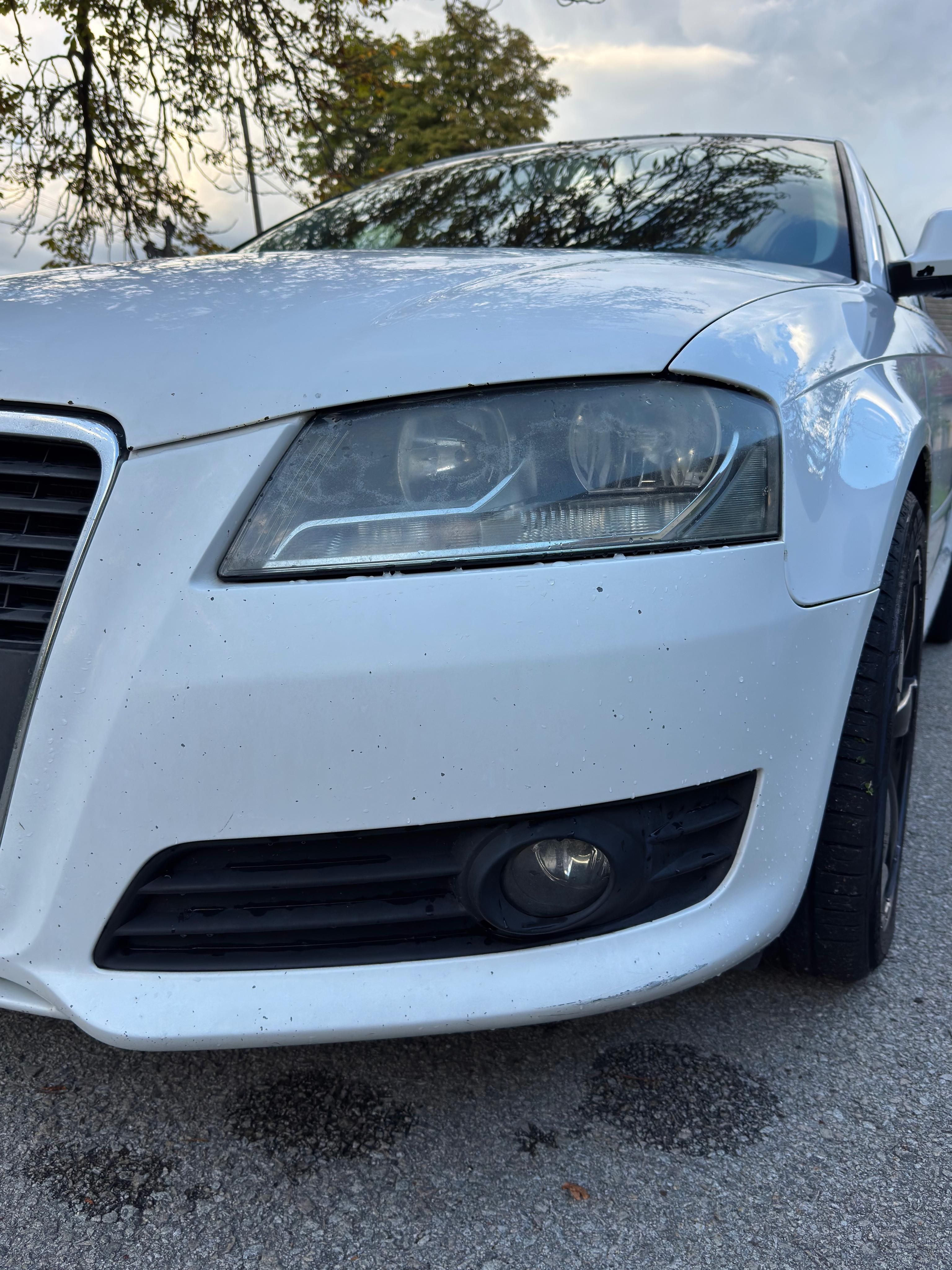Audi A3, Audi A3 8P Sportback 2.0 TDI - fotka 4