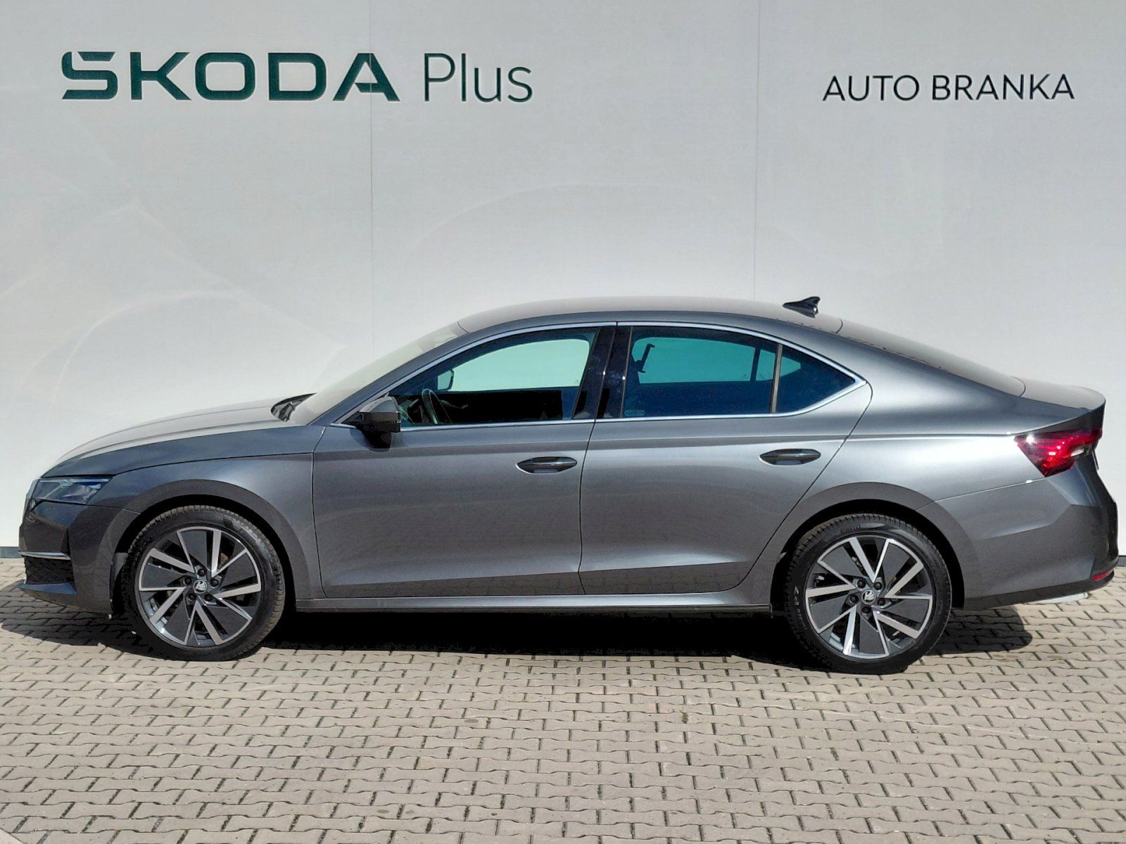Škoda Octavia, 2.0 TDI 110 KW Top Selection - fotka 3
