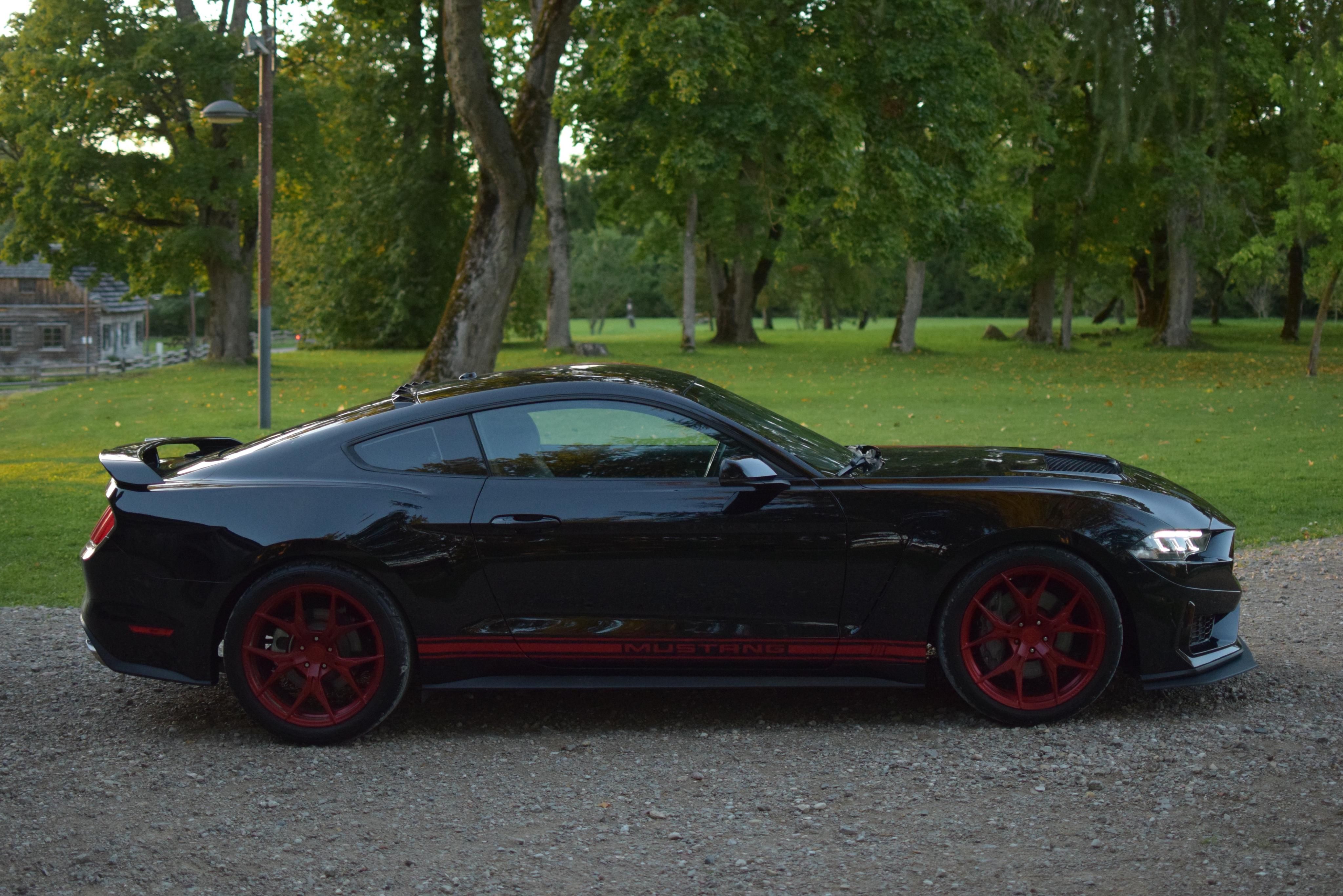Ford Mustang, GT 5.0L Premium Custum - fotka 6