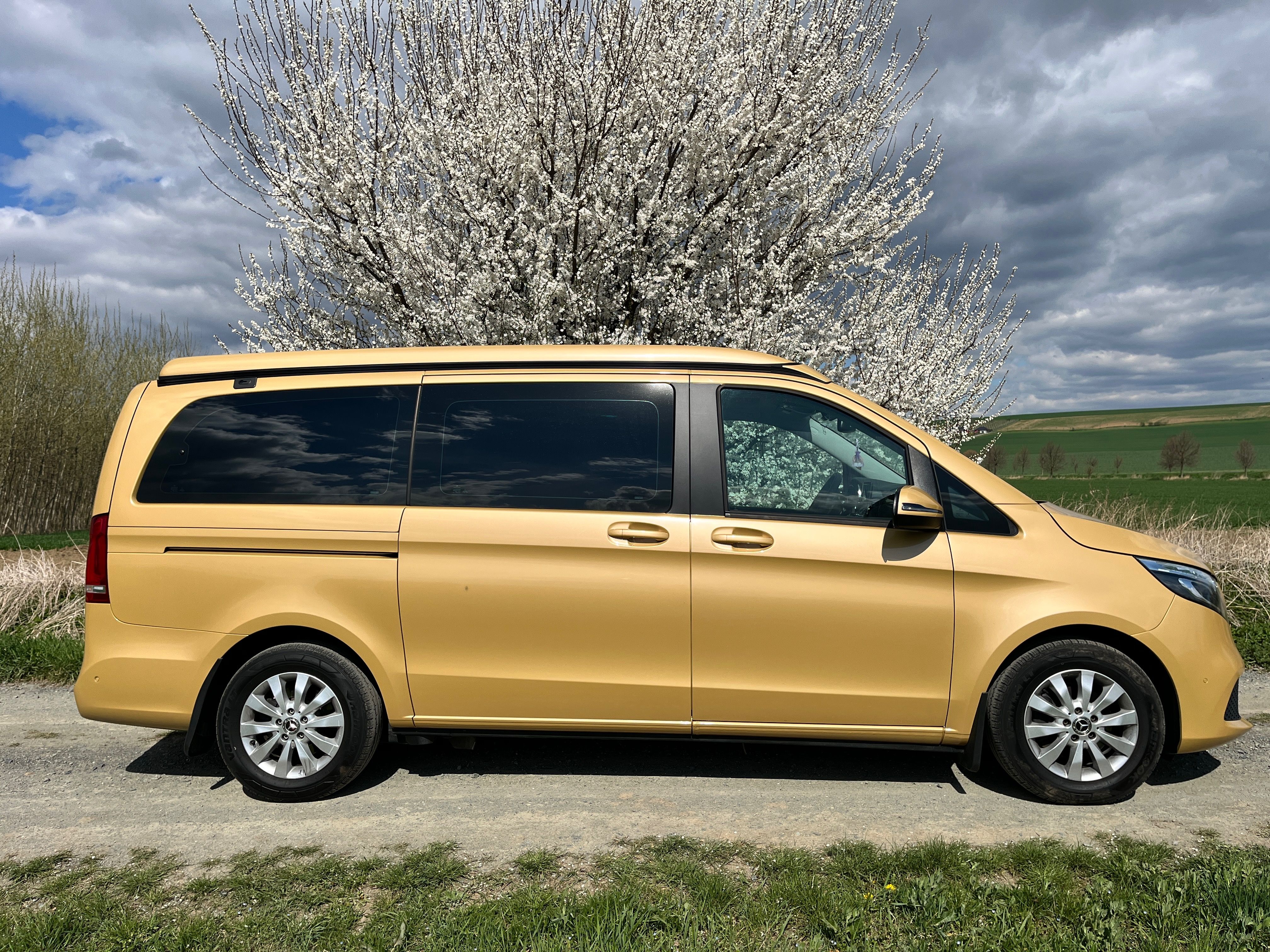 Mercedes-Benz Třídy V, V-Class Marco Pólo Horizont - fotka 3