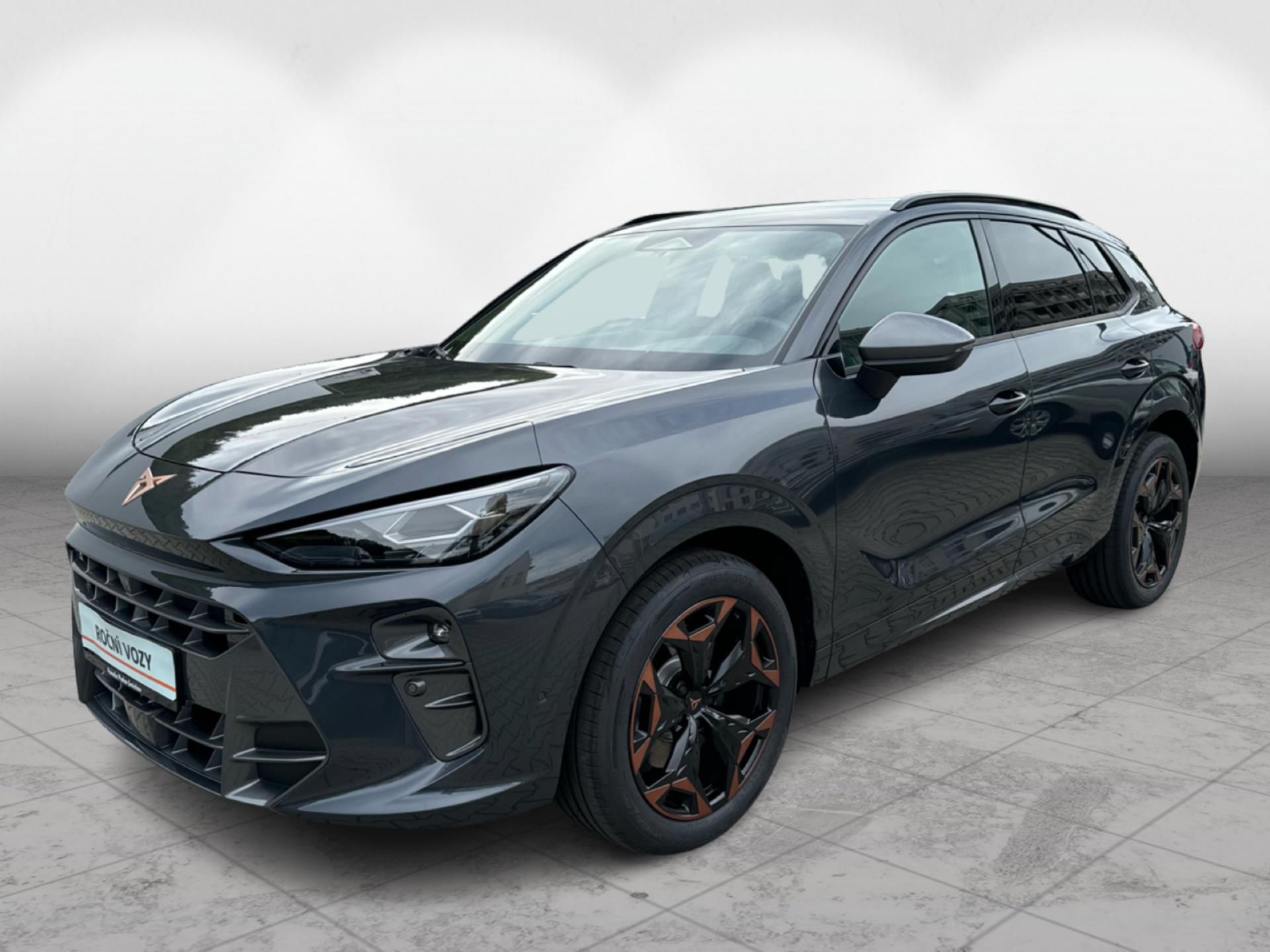 Cupra Terramar, 2,0 TSI DSG 4WD