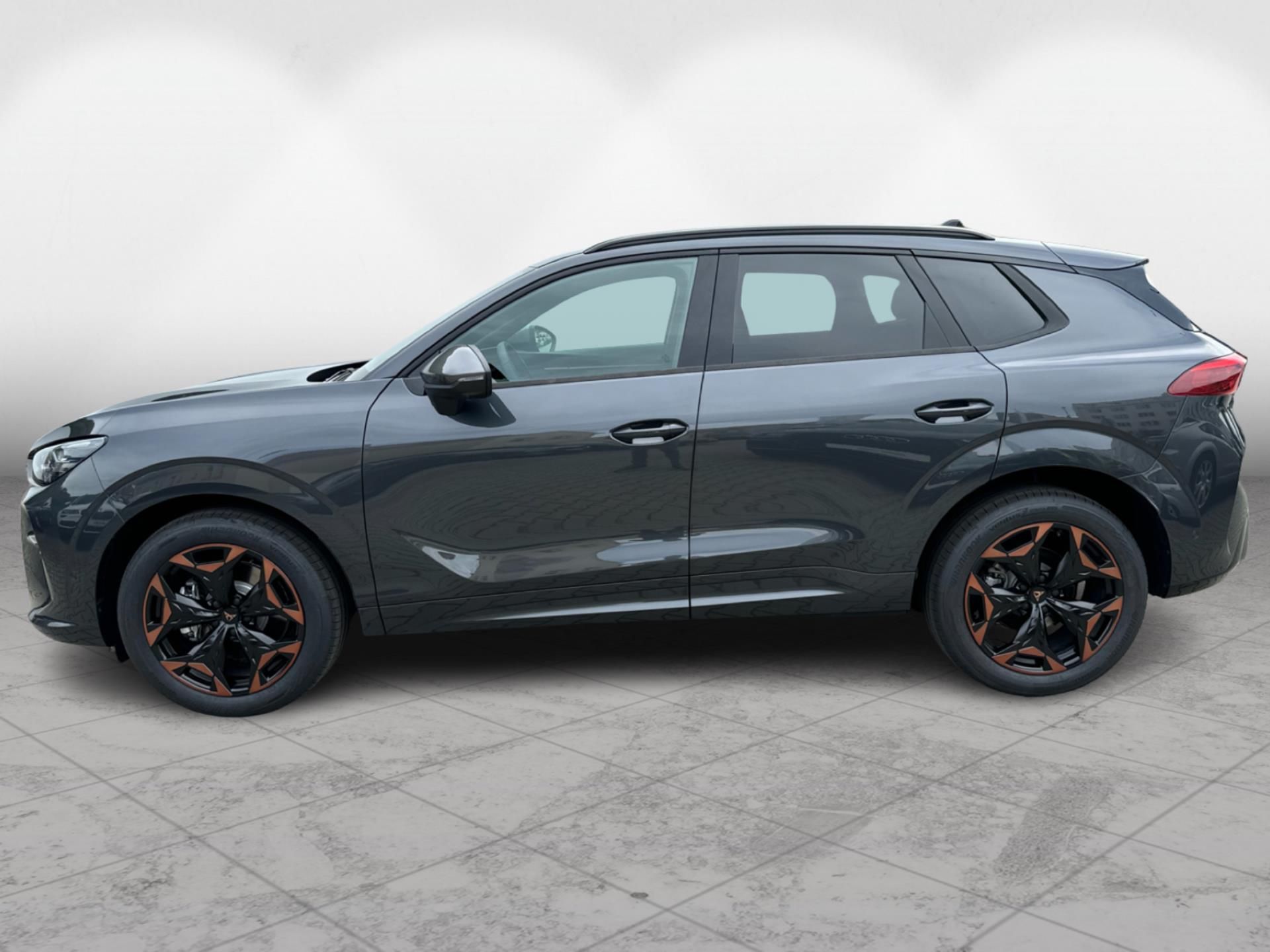 Cupra Terramar, 2,0 TSI DSG 4WD - fotka 3
