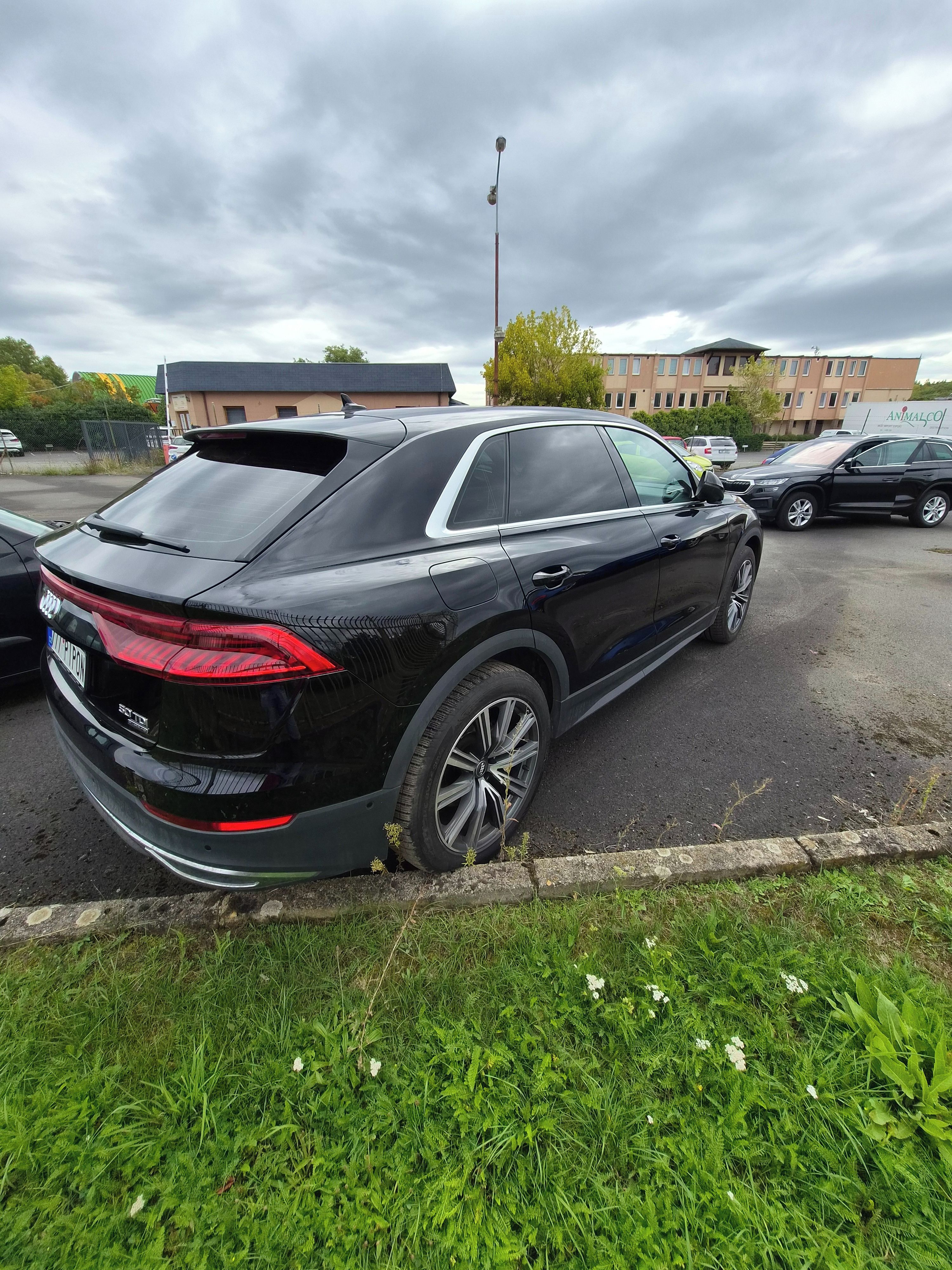 Audi Q8, 50TDi 210kw 3,0TDi quatro - fotka 5