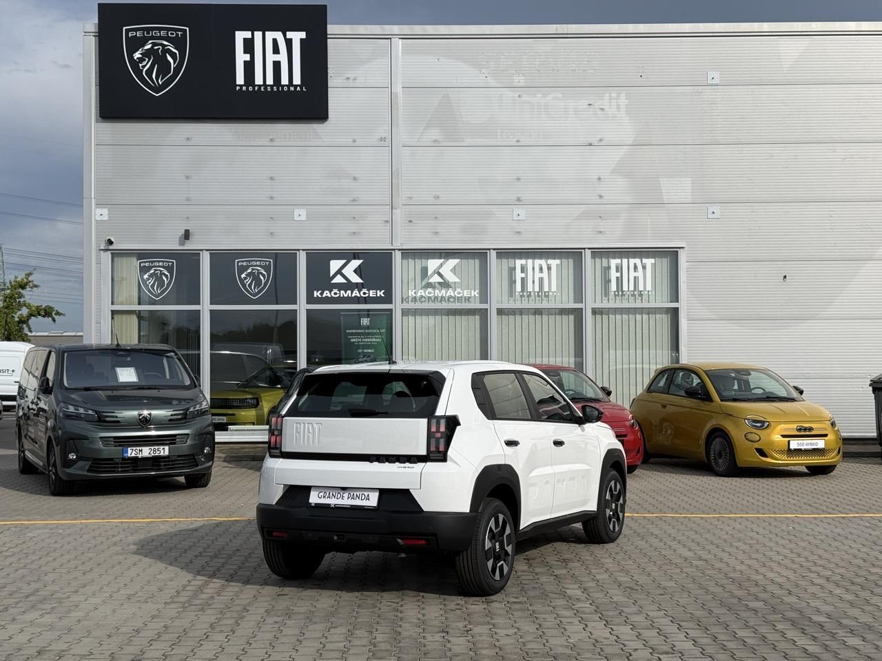 Fiat Grande Panda, Icon 1.2 Turbo Hybrid 110k eDC - fotka 5