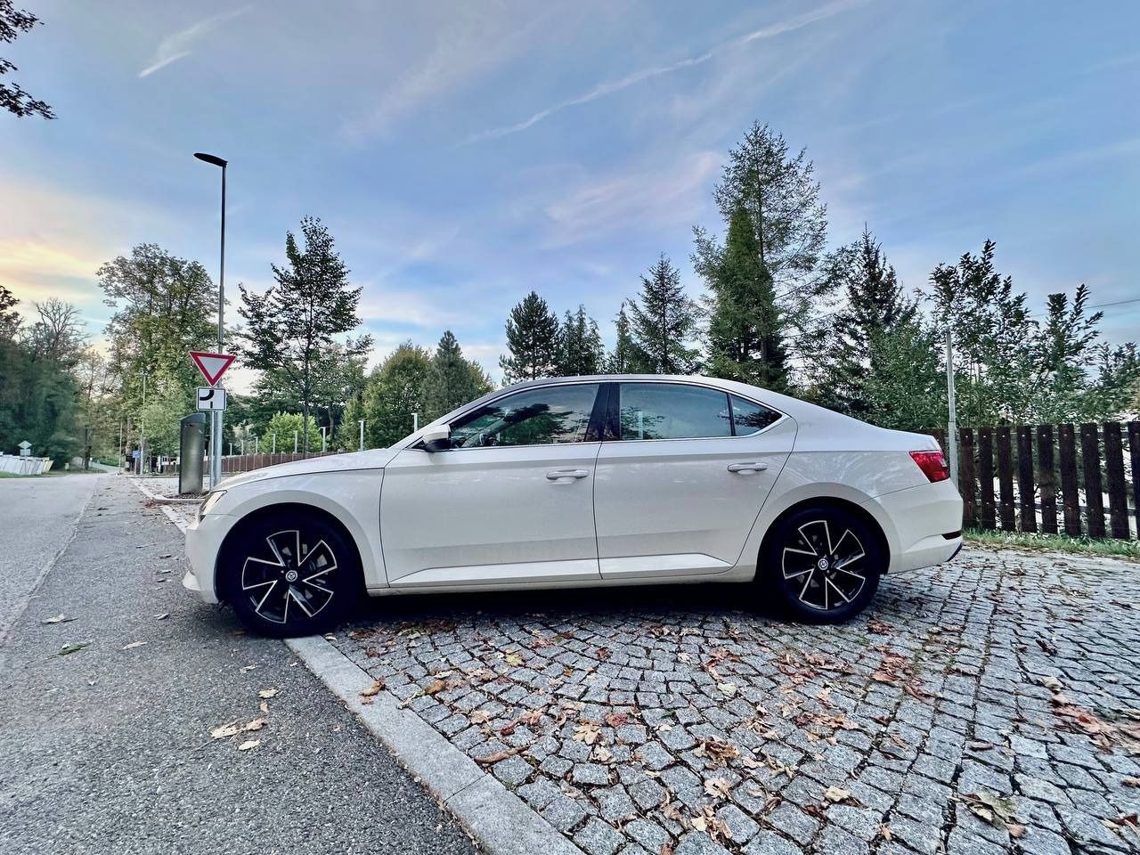 Škoda Superb, 2.0 TDI 110 kW DSG, ČR, servis - fotka 3