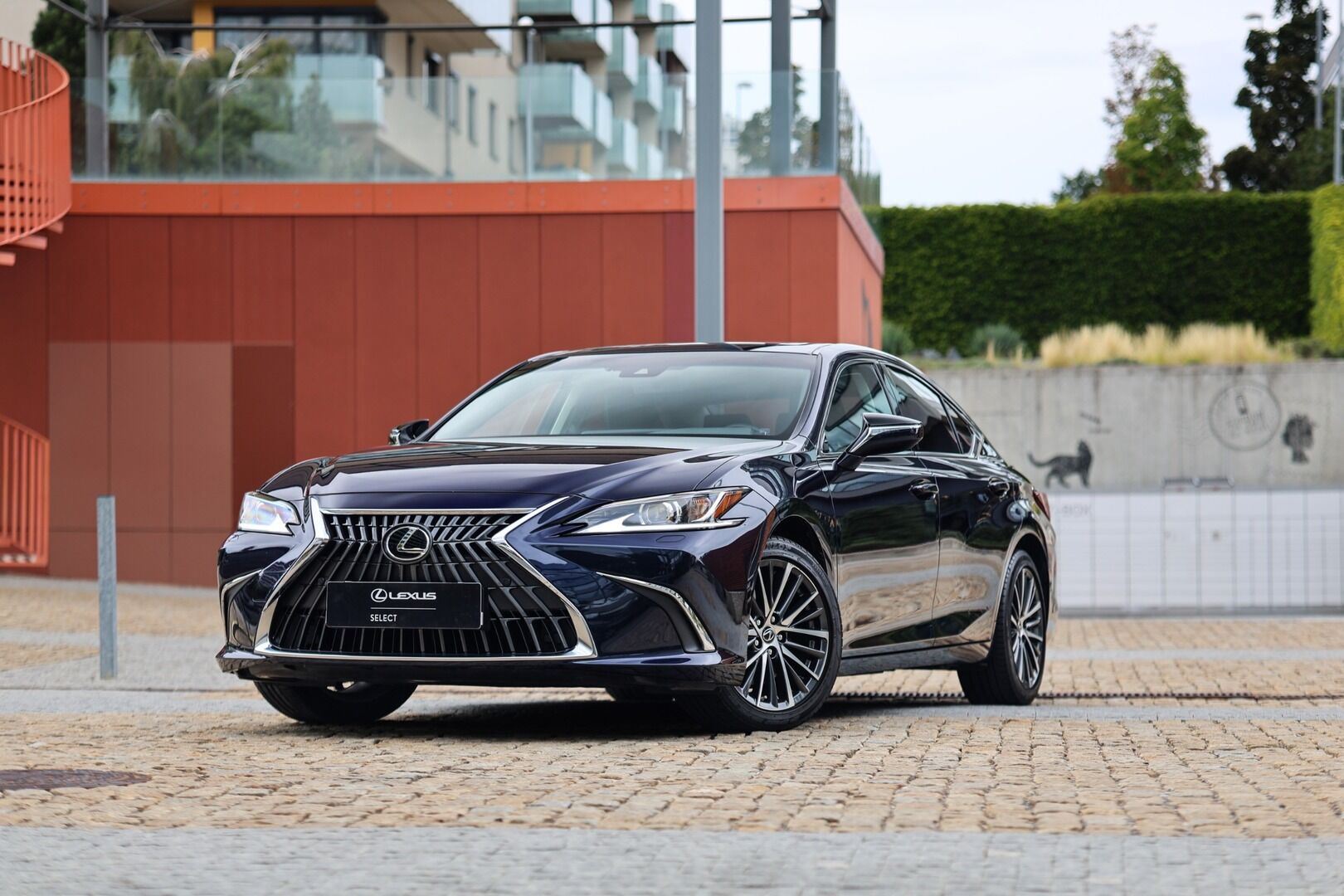 Lexus ES 300h, 300H HEV BUSINESS EDITION