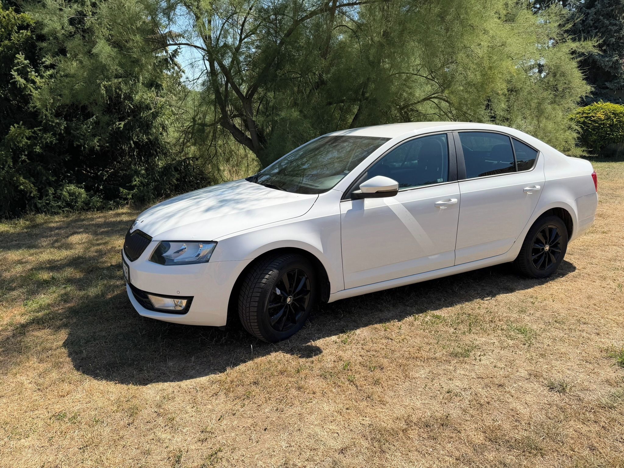 Škoda Octavia, Octavia III, 1,6 TDI 77KW, Ele - fotka 4