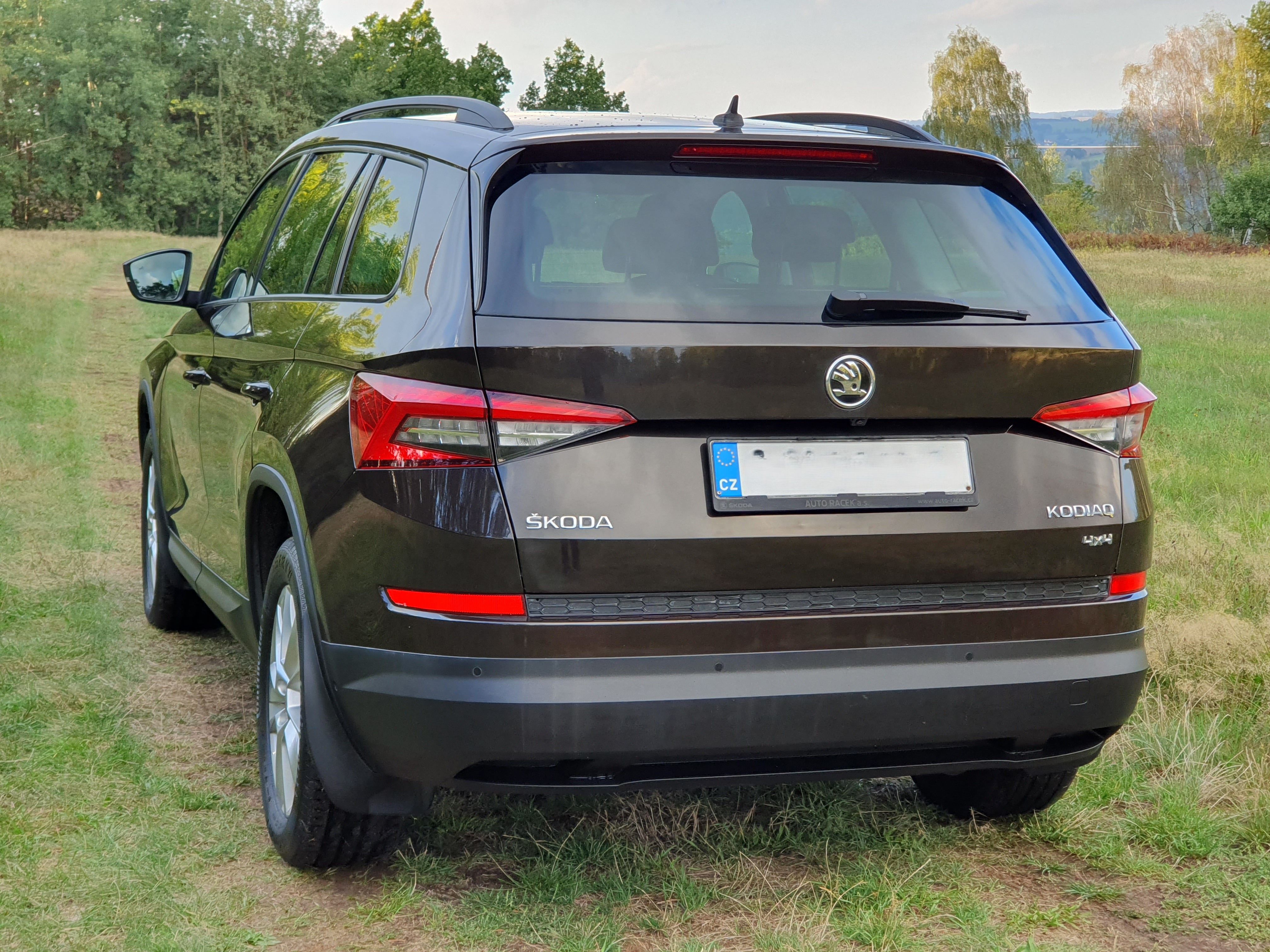 Škoda Kodiaq, 1.9 TDI 4x4, první majitel - fotka 6