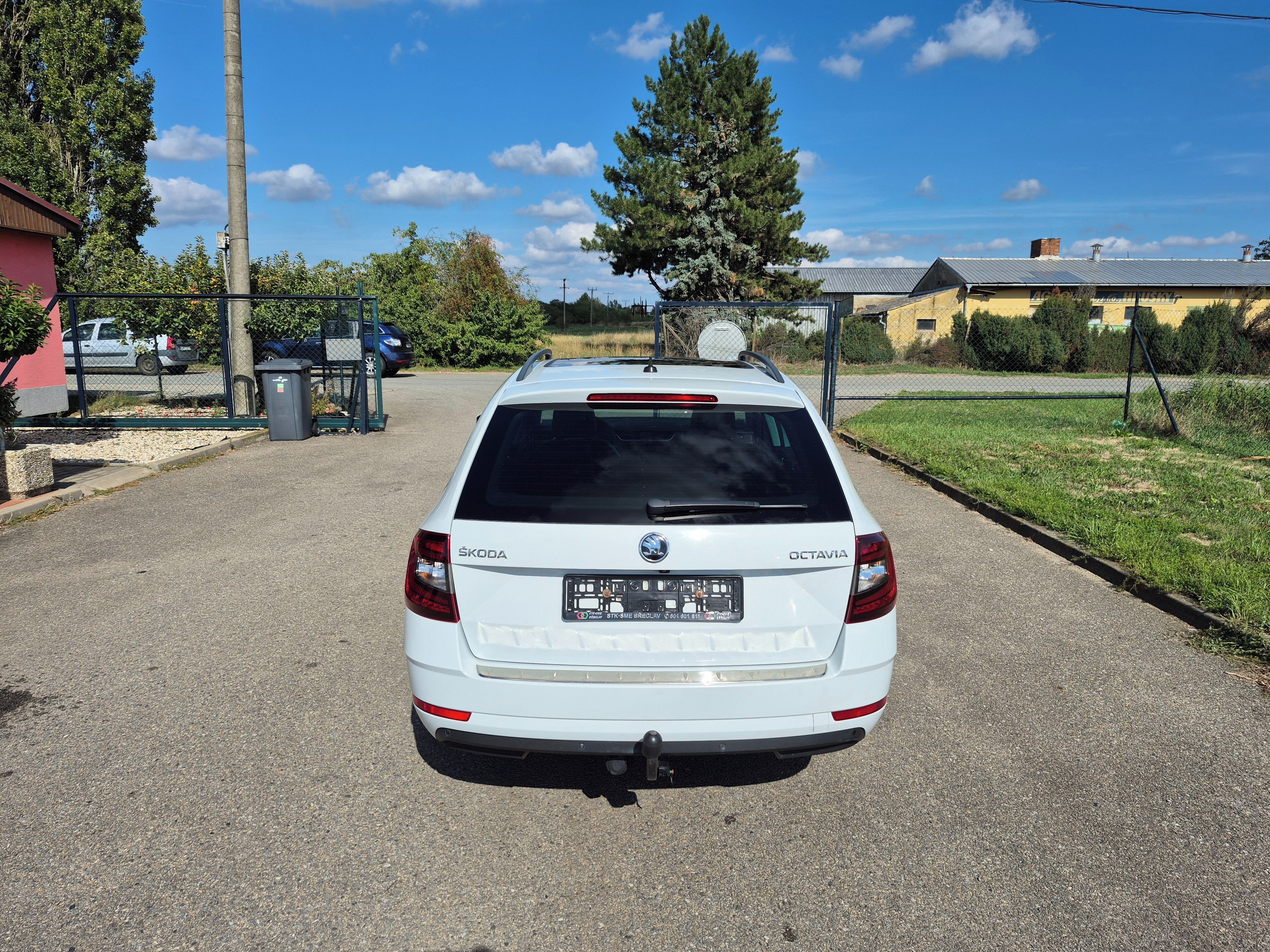 Škoda Octavia, 1,6TDI, 85kW, DSG, navigace - fotka 5