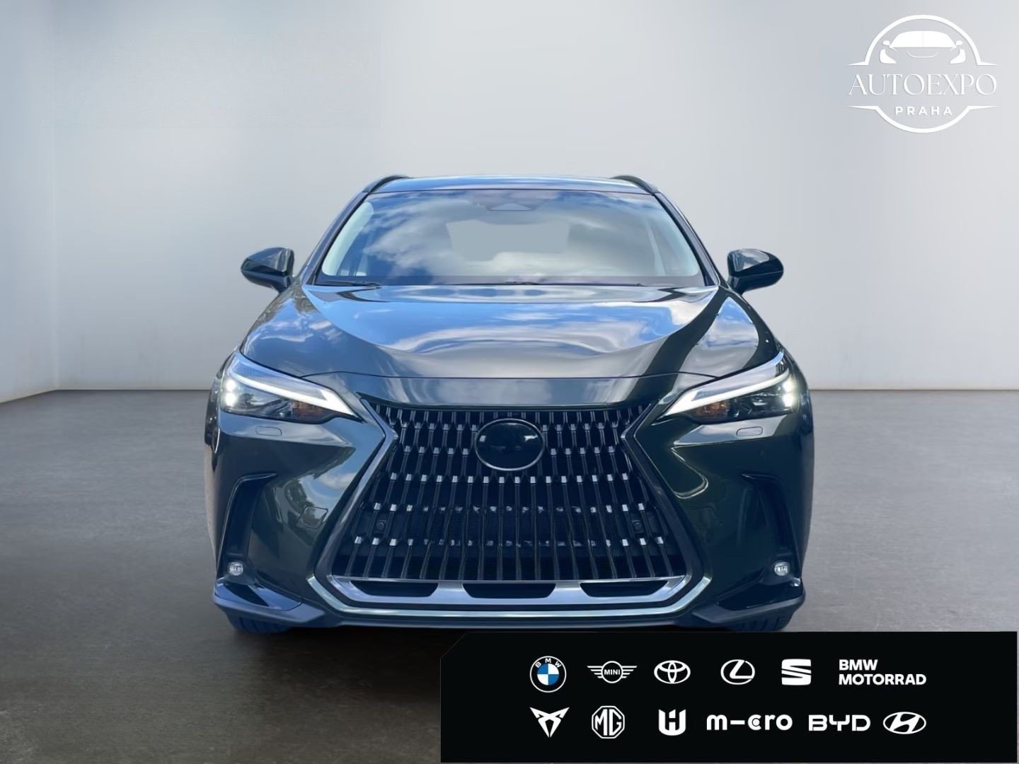 Lexus NX 450h, * E-FOUR Executive Line*Black- - fotka 5