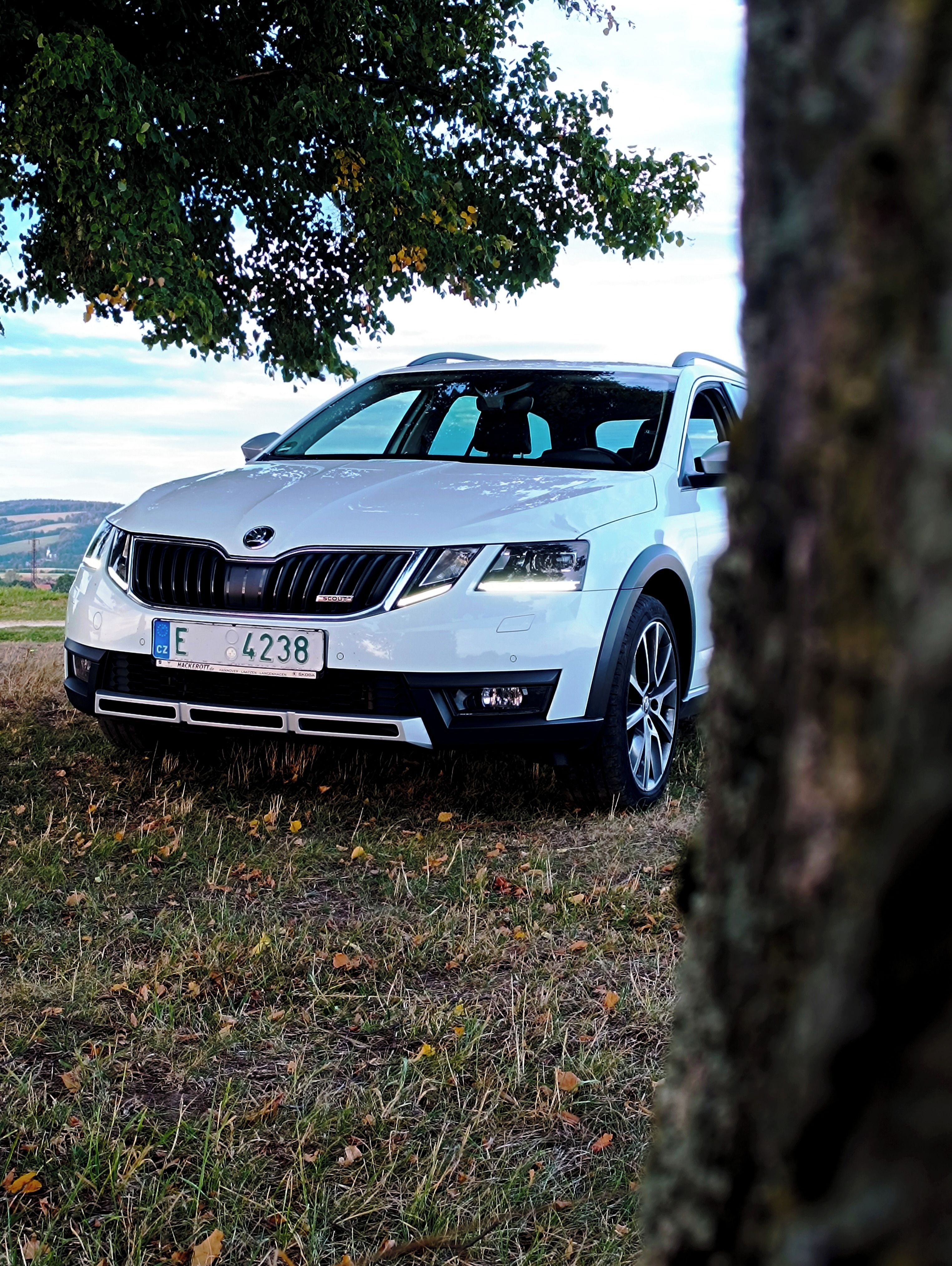 Škoda Octavia, 2.0Tdi 135kw Scout Elegance - fotka 5