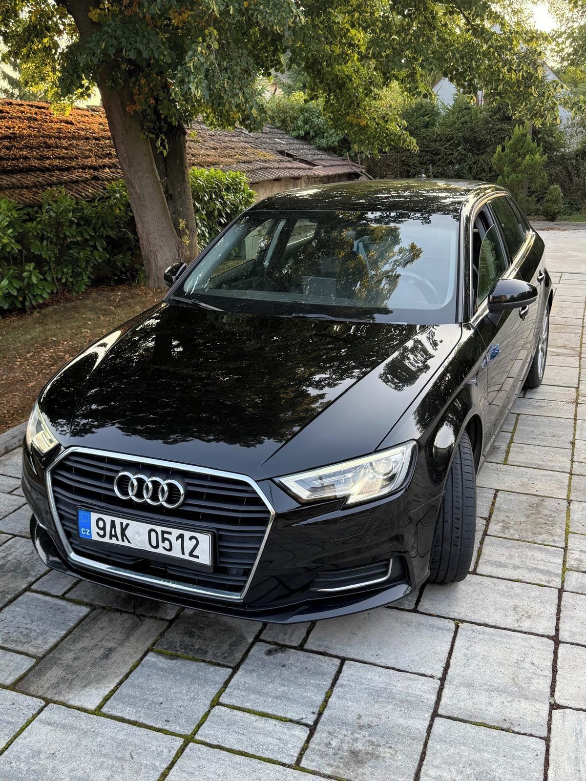 Audi A3, Audi A3 Sportback 2.0TDI 110kW - fotka 6