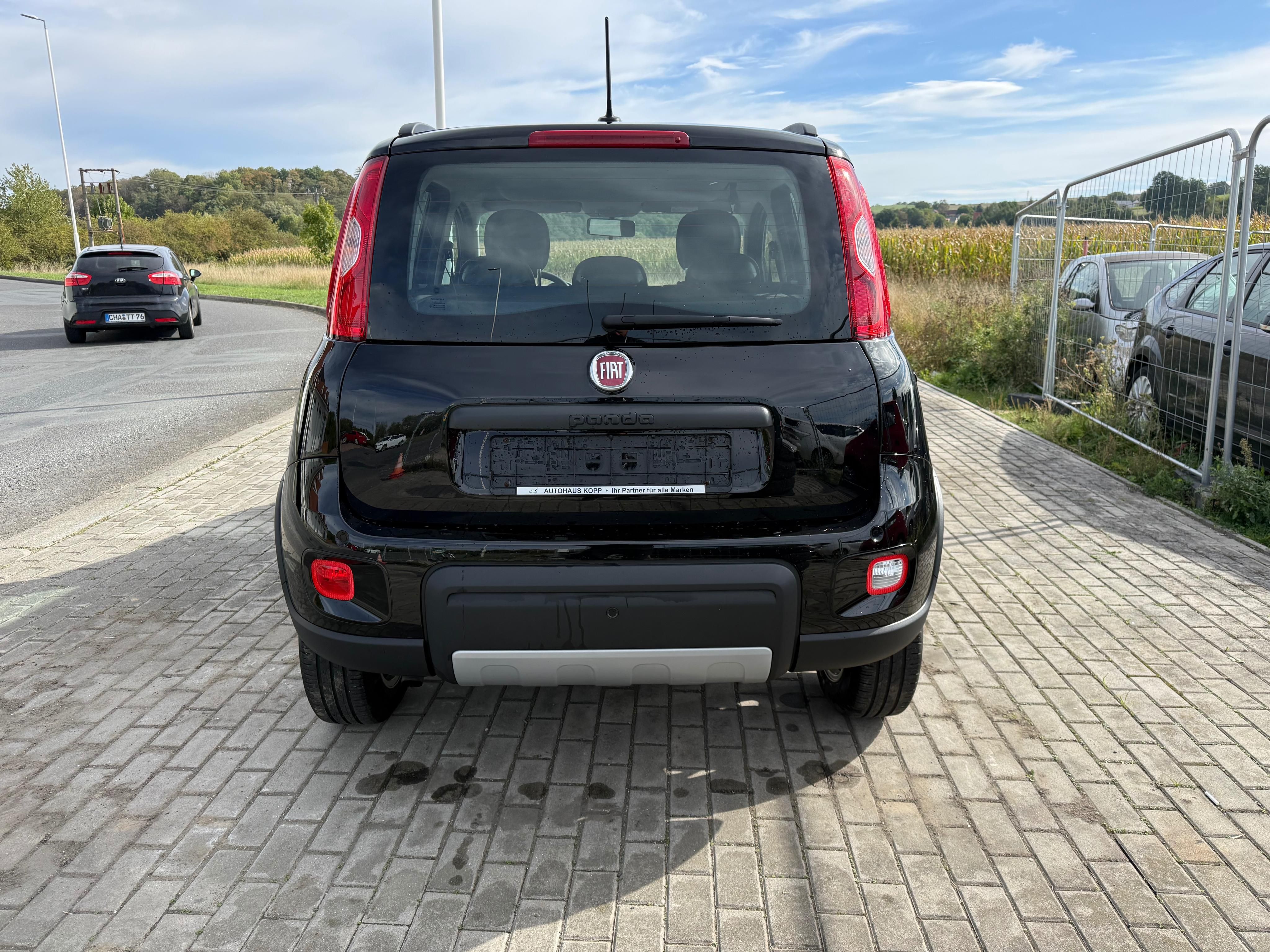 Fiat Panda, 4x4 ..2021.jen 36t.km. TOP - fotka 5