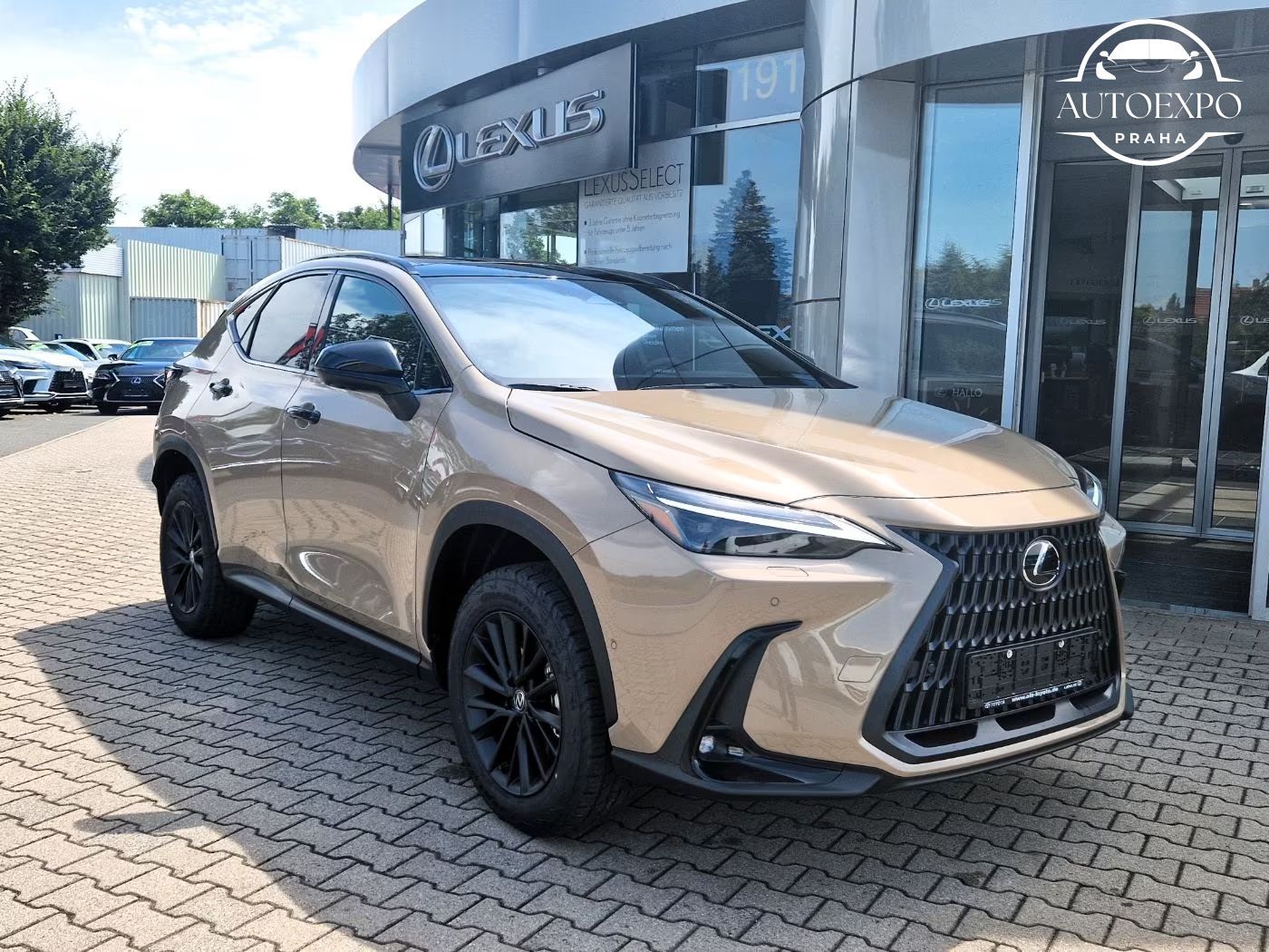 Lexus NX 350h, NX 350 h Overtrail*