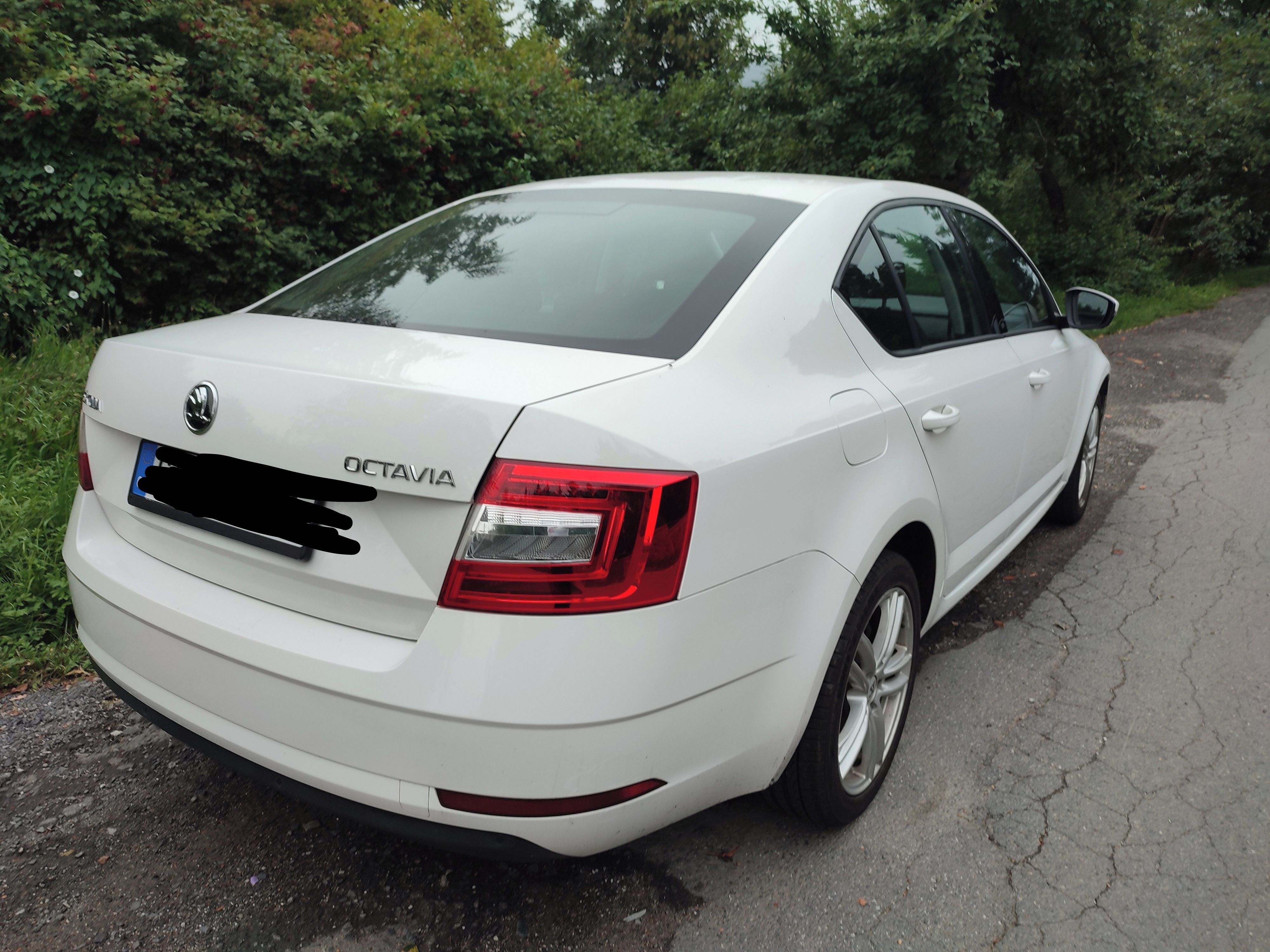 Škoda Octavia, 1.6 TDi 85kw - servisováno - fotka 6