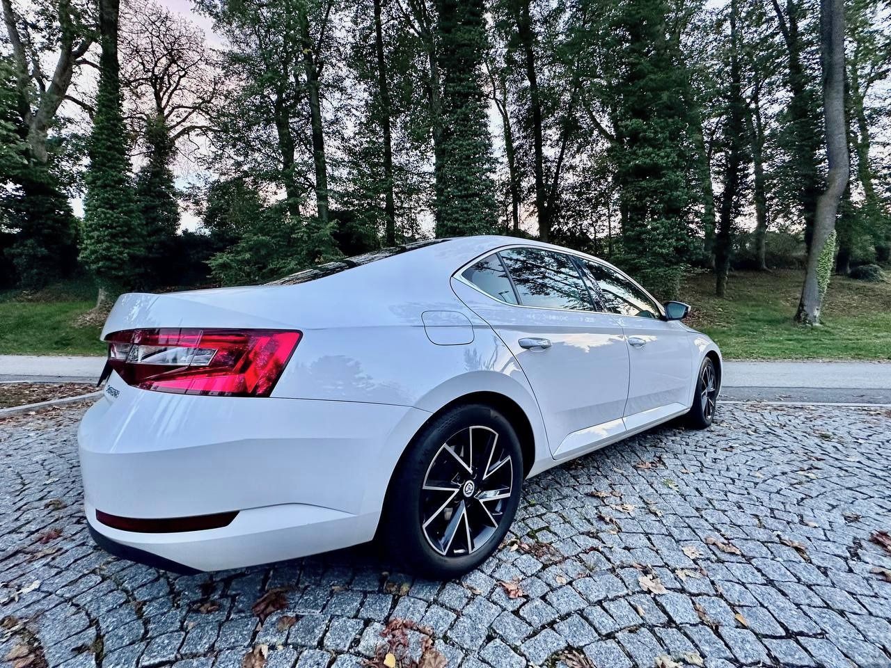 Škoda Superb, 2.0 TDI 110 kW DSG, ČR, servis - fotka 5