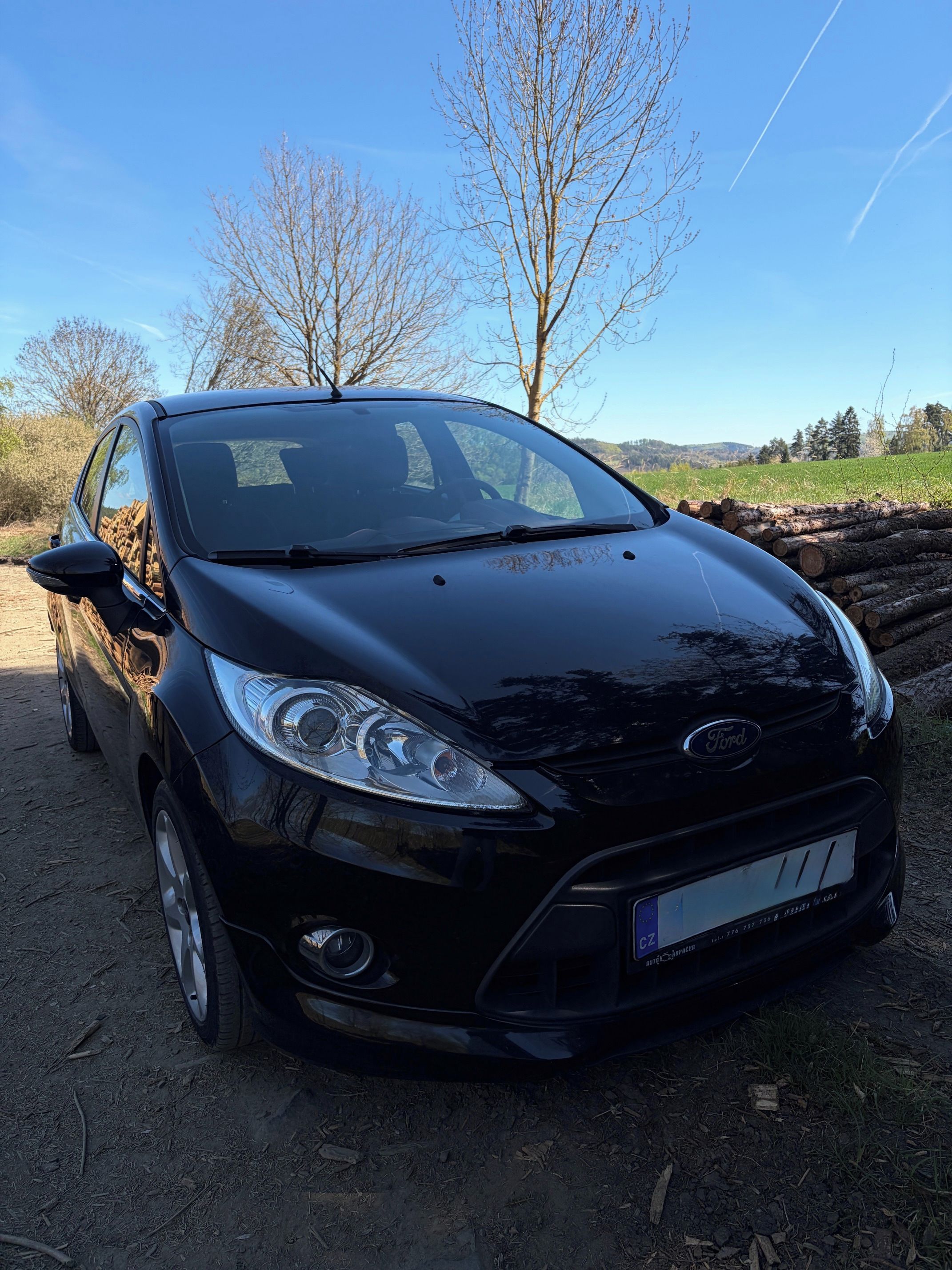 Ford Fiesta, Ford Fiesta 1.25i 16V 60kW