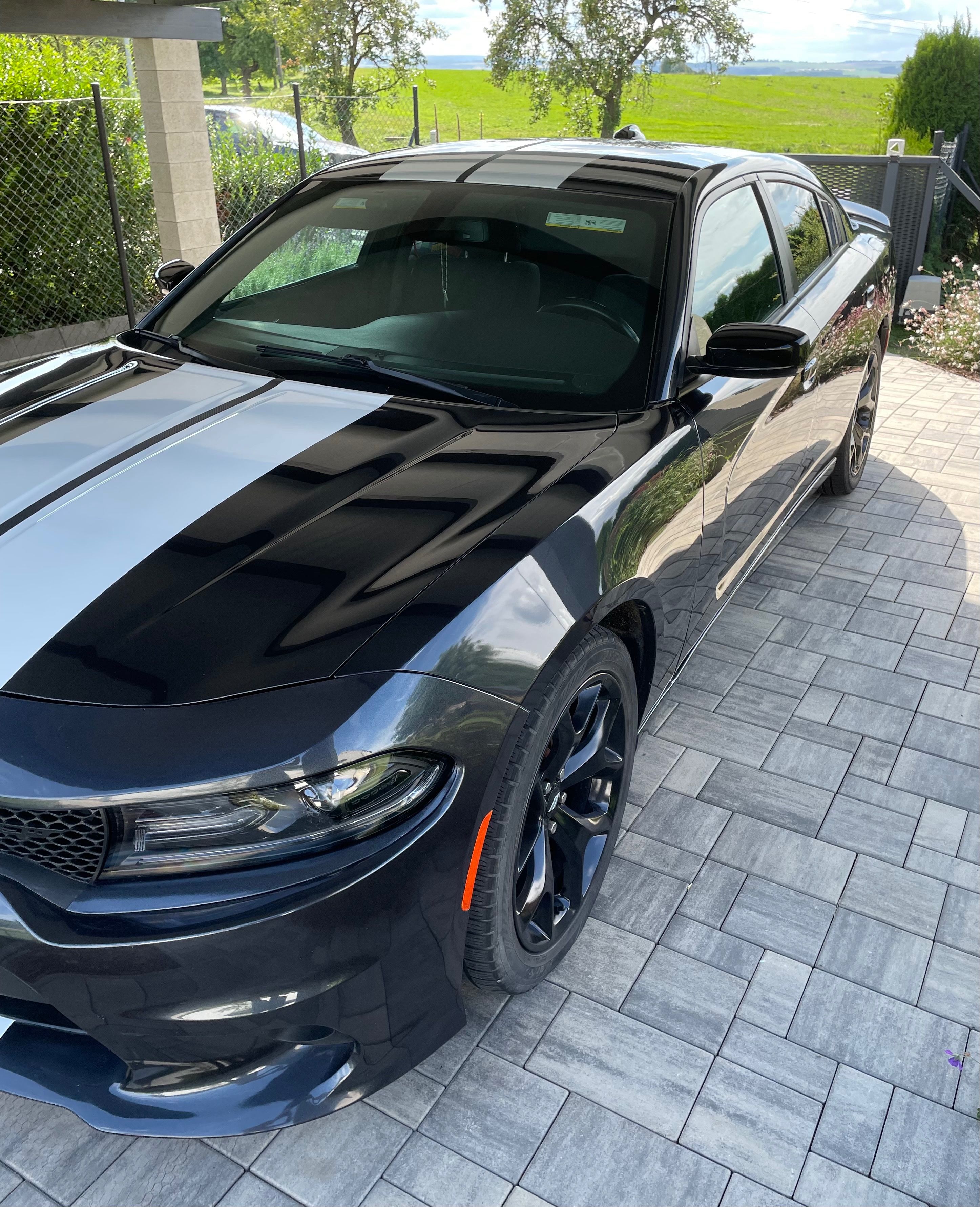 Dodge Charger, Dodge Charger 5,7 hemi R/T - fotka 6