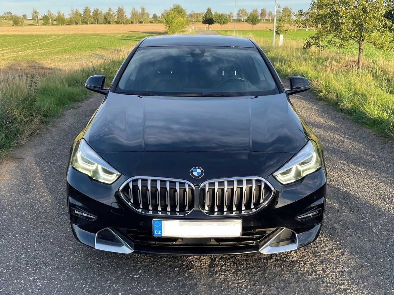 BMW Řada 2, Gran Coupé, Luxury, LED, H-UP - fotka 6