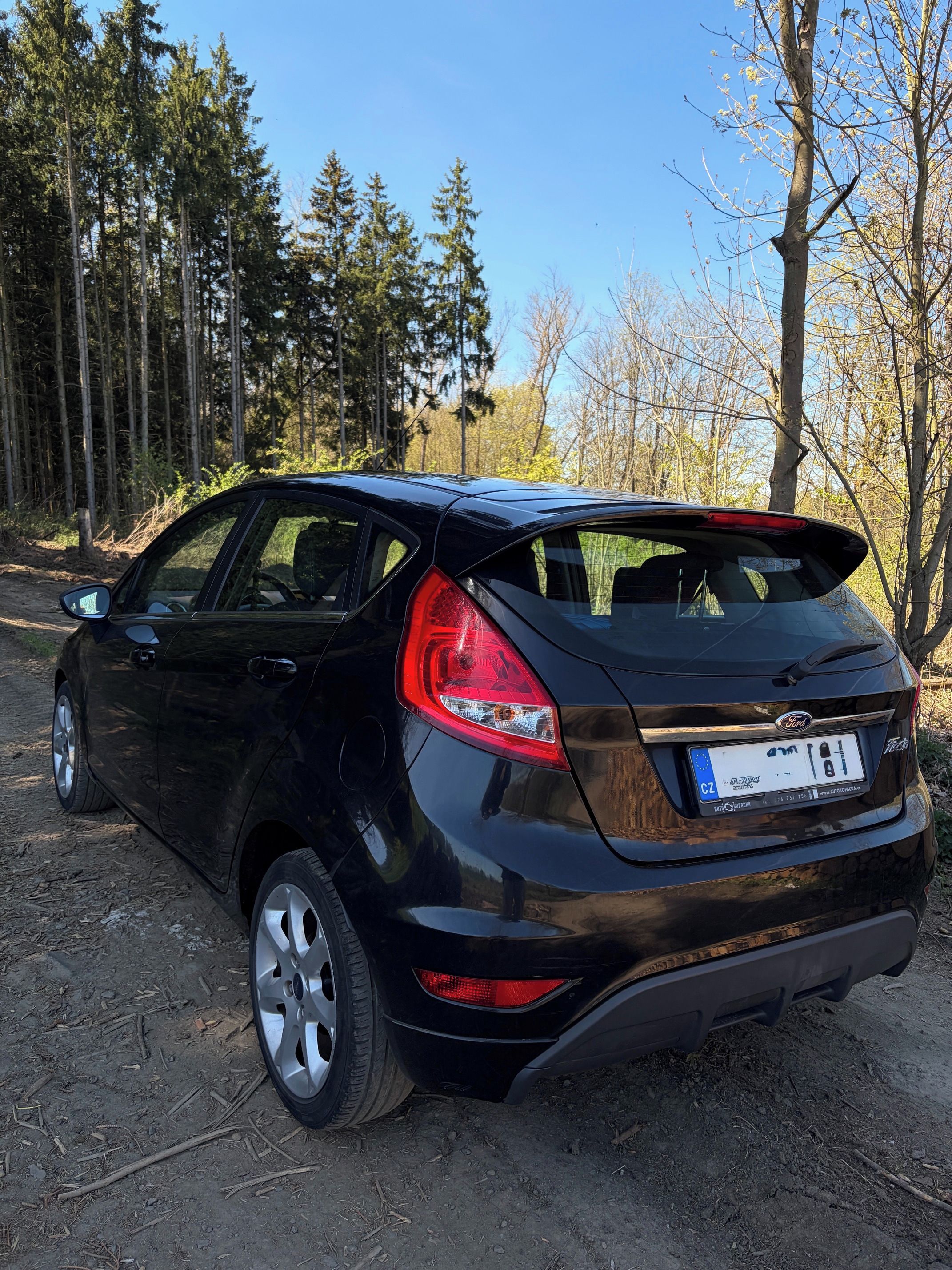 Ford Fiesta, Ford Fiesta 1.25i 16V 60kW - fotka 2