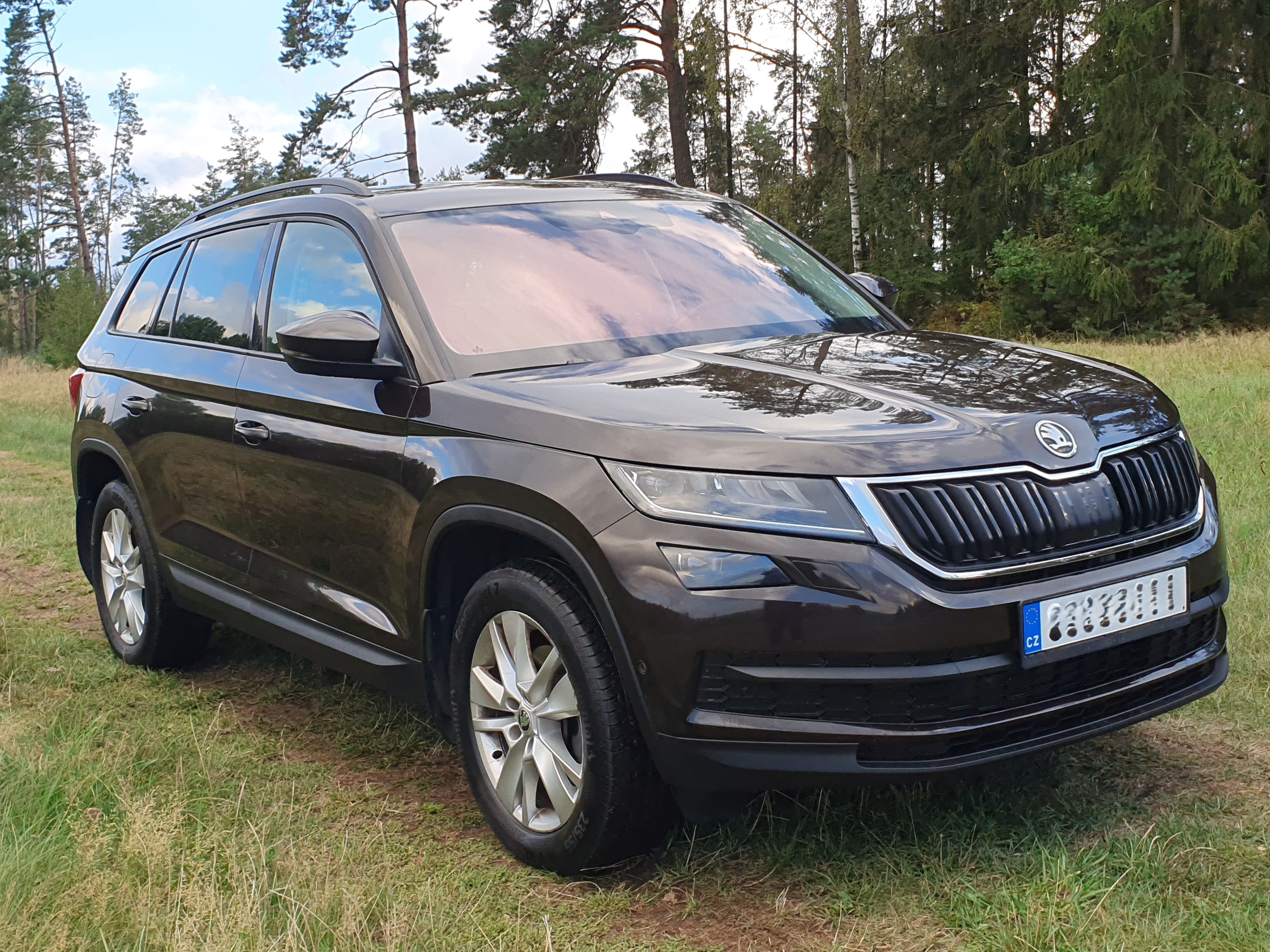 Škoda Kodiaq, 1.9 TDI 4x4, první majitel - fotka 3