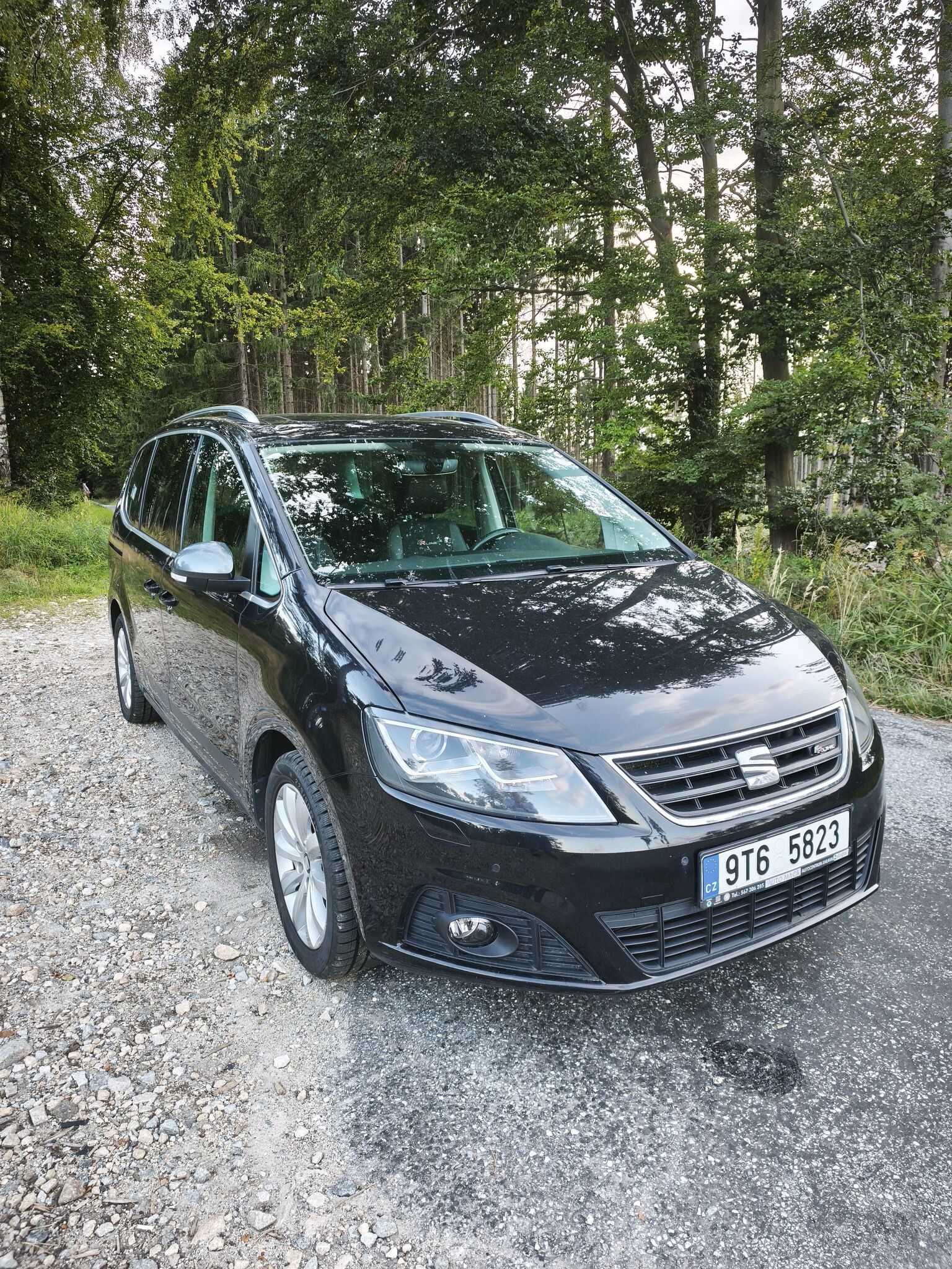 Seat Alhambra, SEAT Alhambra 2.0 TDI 110 kW