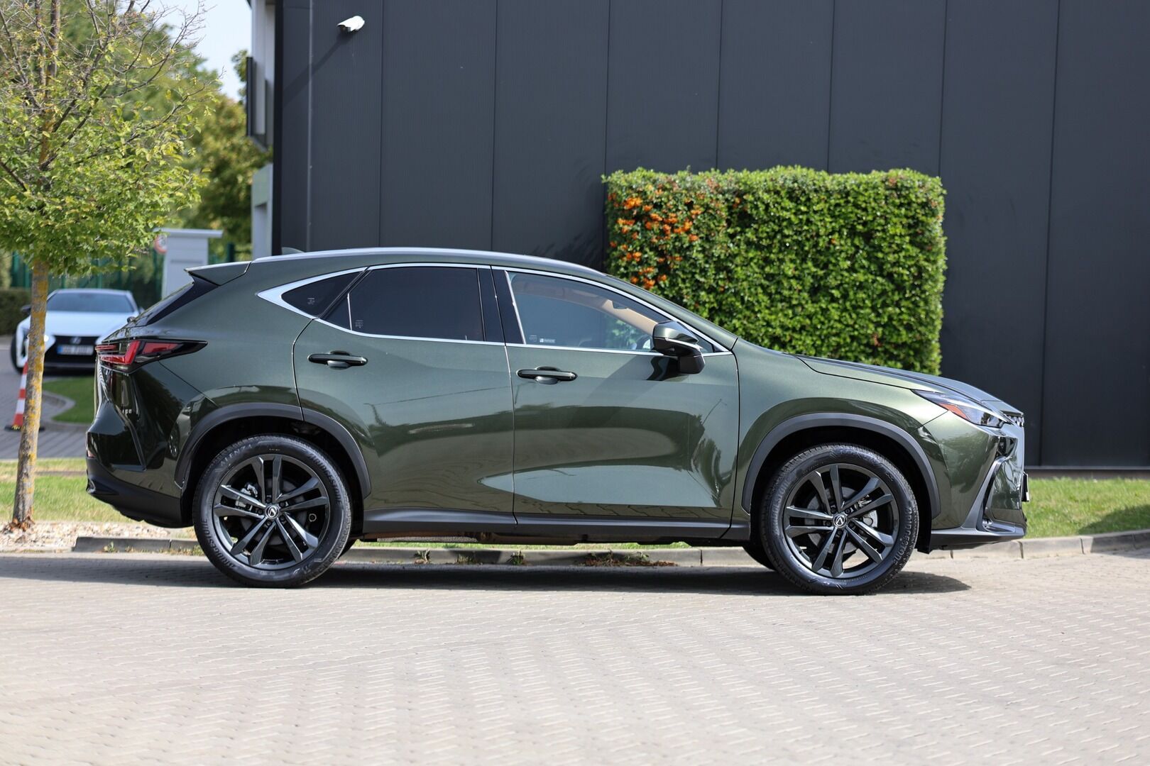 Lexus NX 350h, 350H 2,5 HEV PRESTIGE - fotka 6