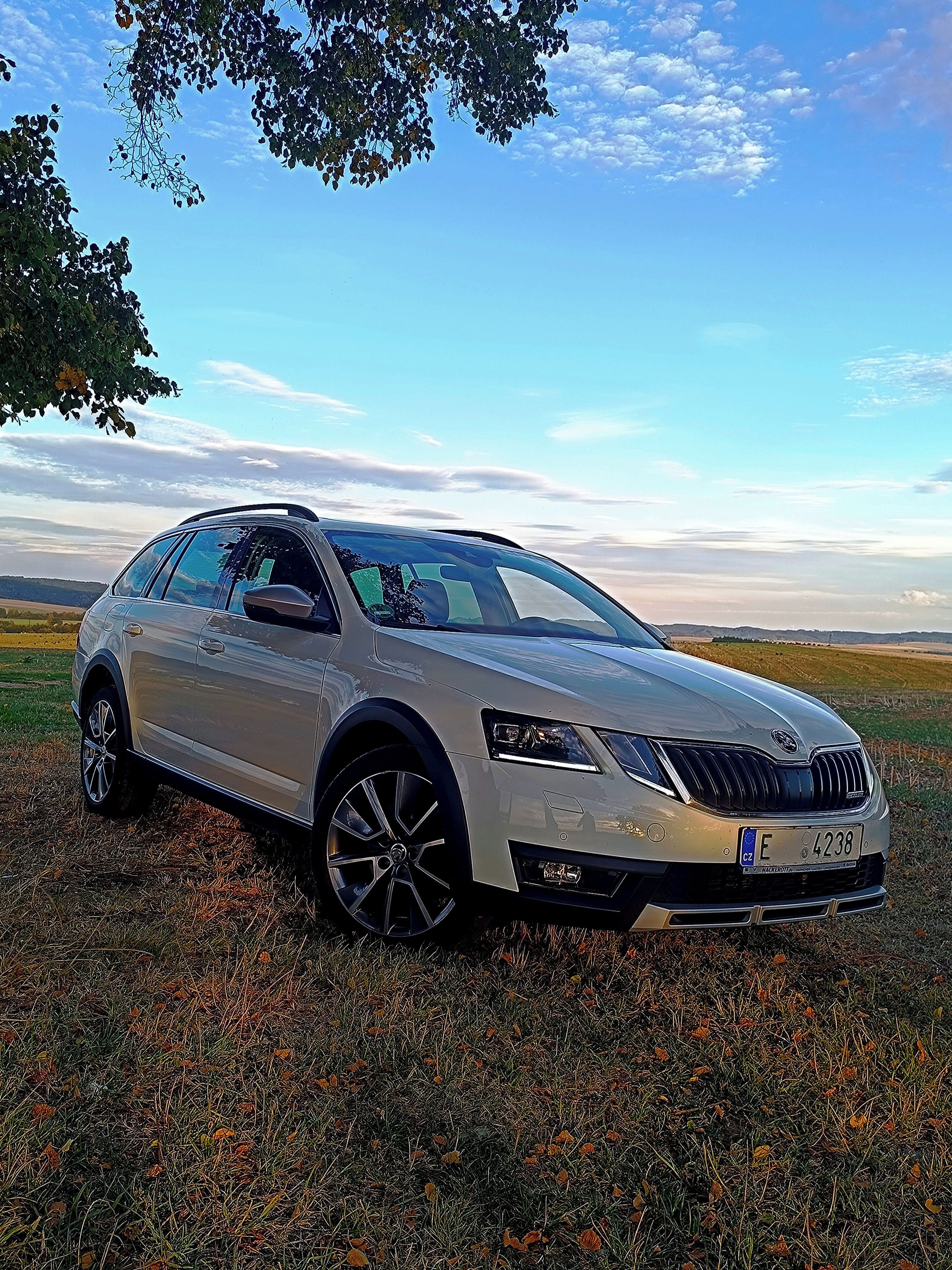Škoda Octavia, 2.0Tdi 135kw Scout Elegance - fotka 2