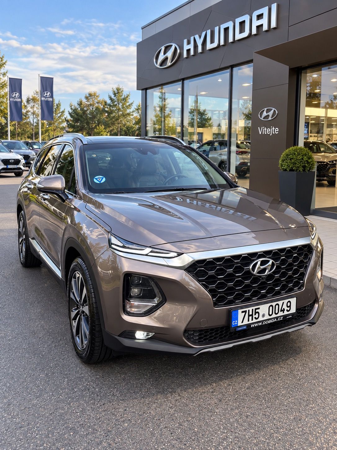 Hyundai Santa Fe, 2.2crdi,147kw,plná výbava
