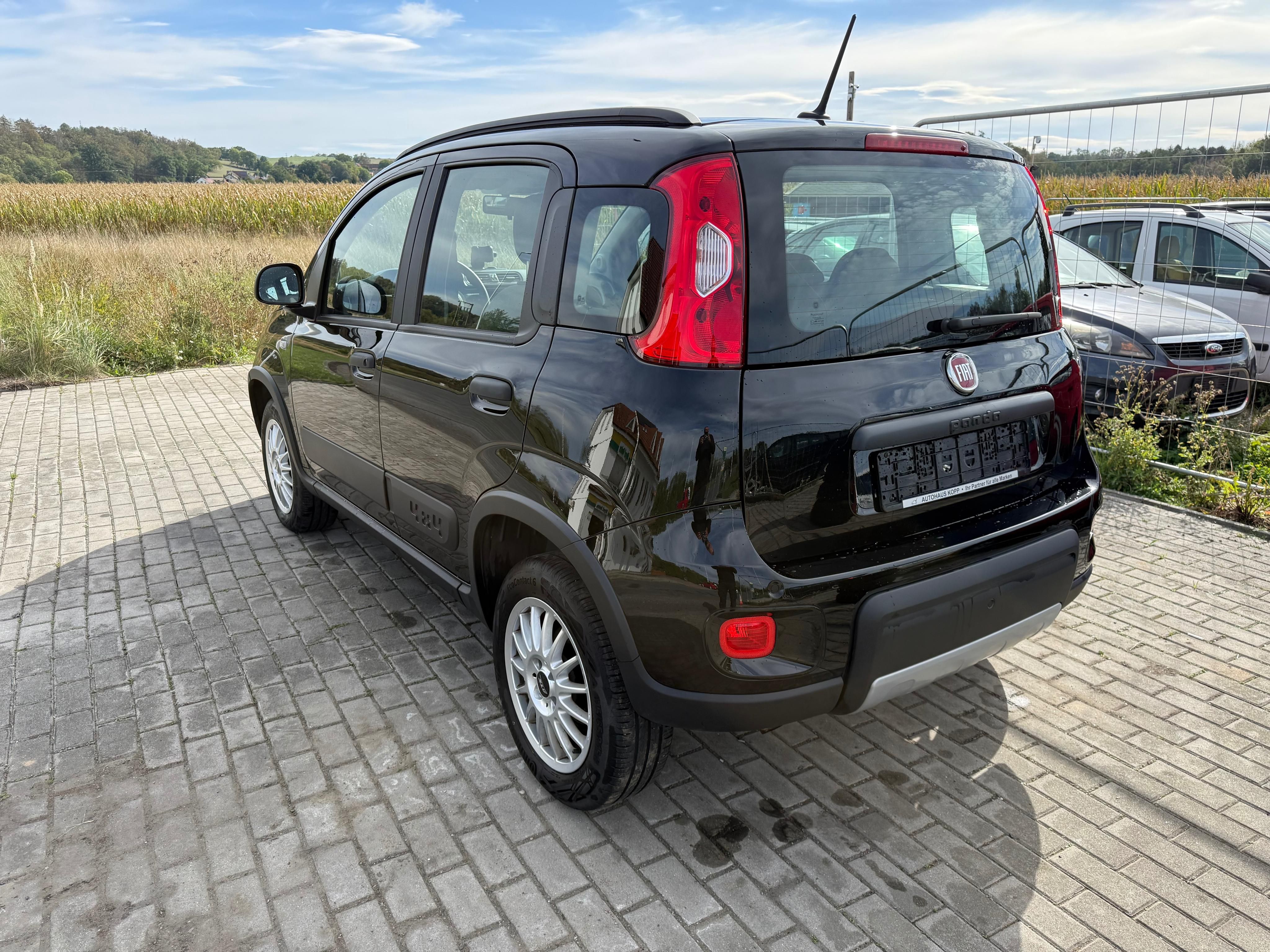 Fiat Panda, 4x4 ..2021.jen 36t.km. TOP - fotka 6