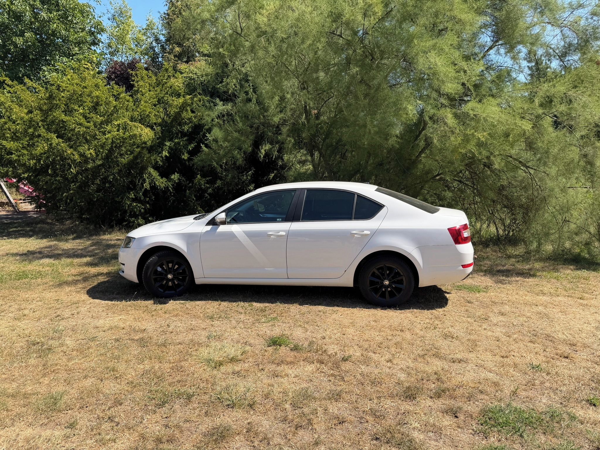 Škoda Octavia, Octavia III, 1,6 TDI 77KW, Ele