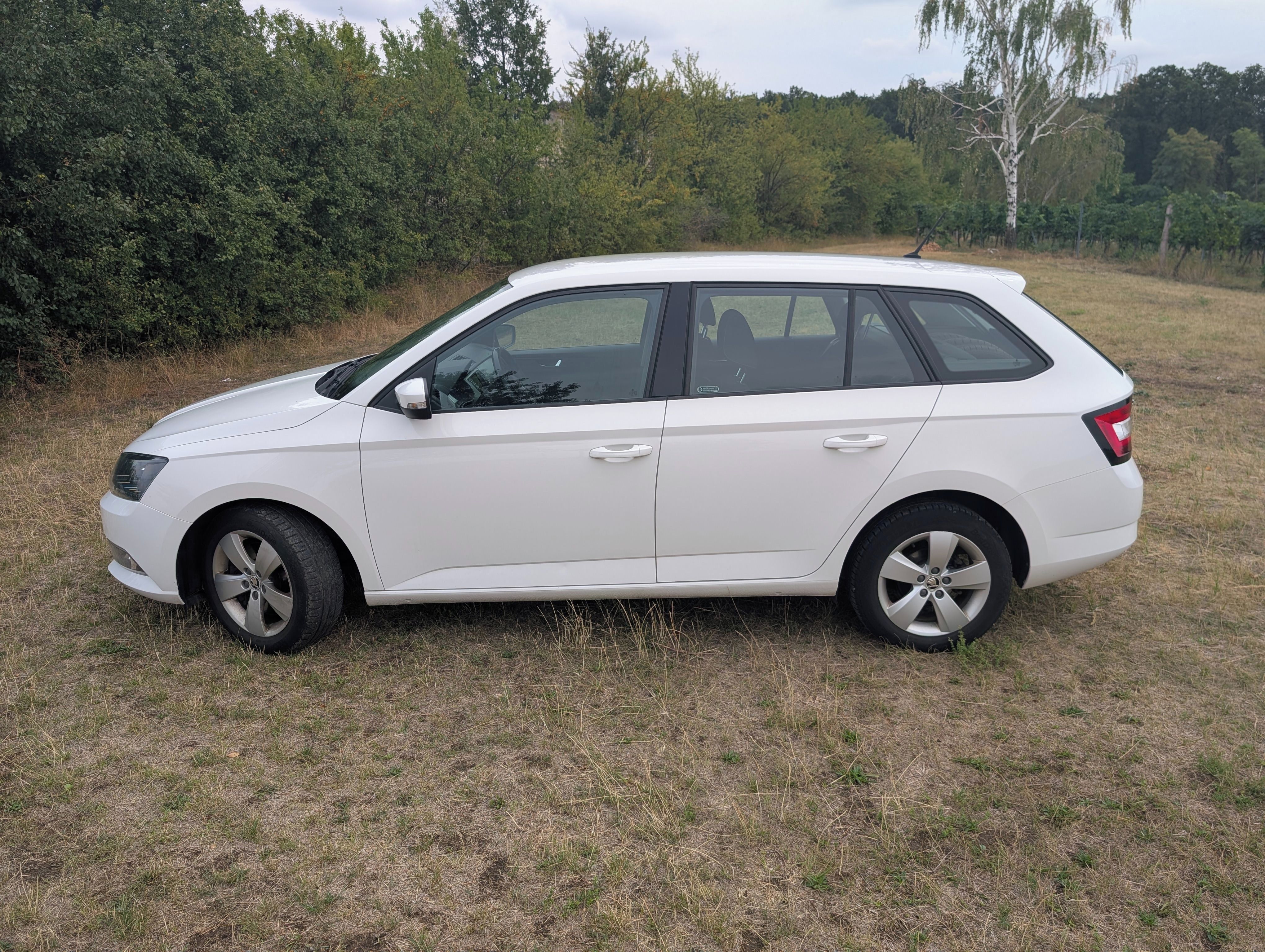 Škoda Fabia, 1,4TDI 77kw - fotka 3
