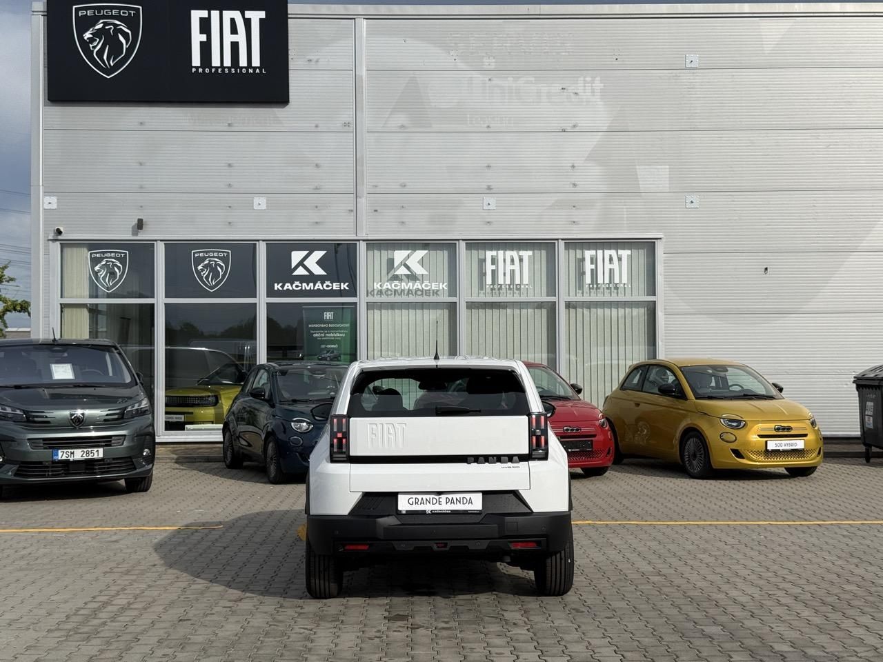 Fiat Grande Panda, Icon 1.2 Turbo Hybrid 110k eDC - fotka 4