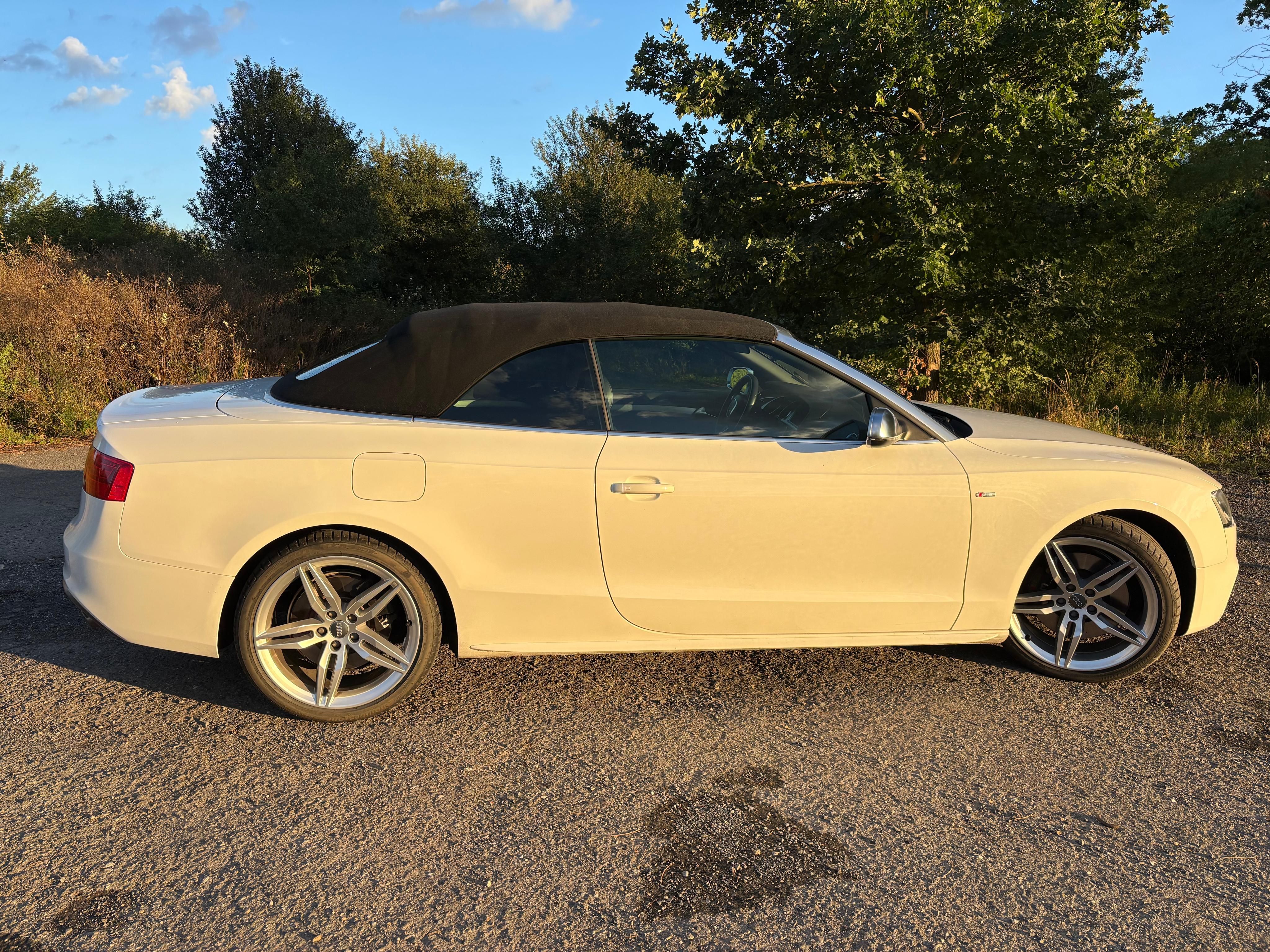 Audi S5, Audi S5 Cabrio, 3.0TFSI 245kW - fotka 6