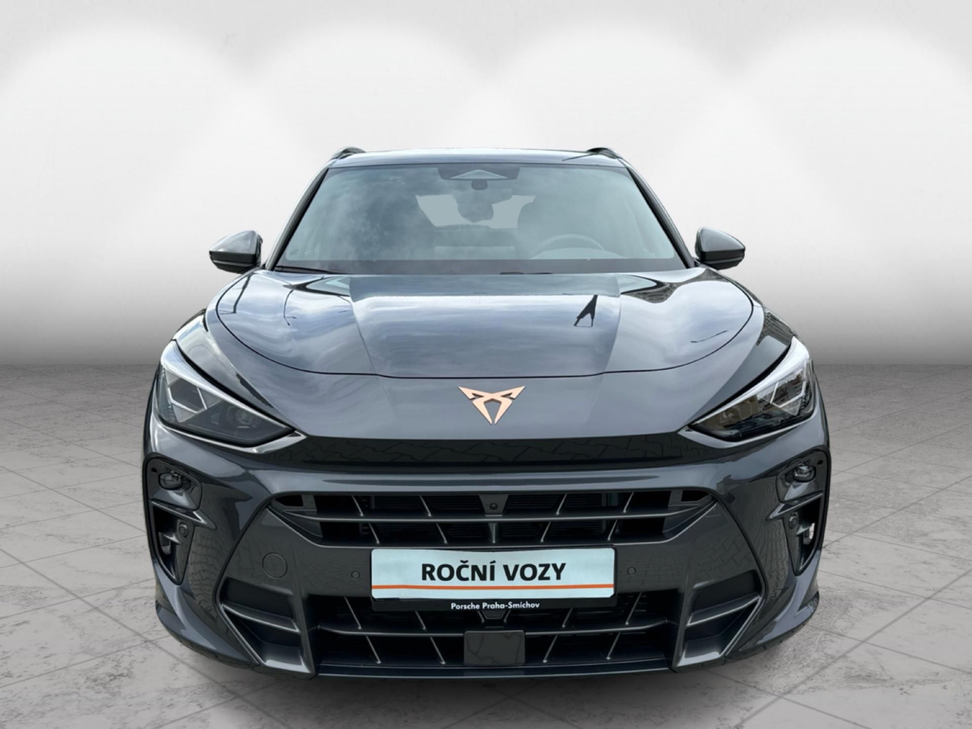 Cupra Terramar, 2,0 TSI DSG 4WD - fotka 2