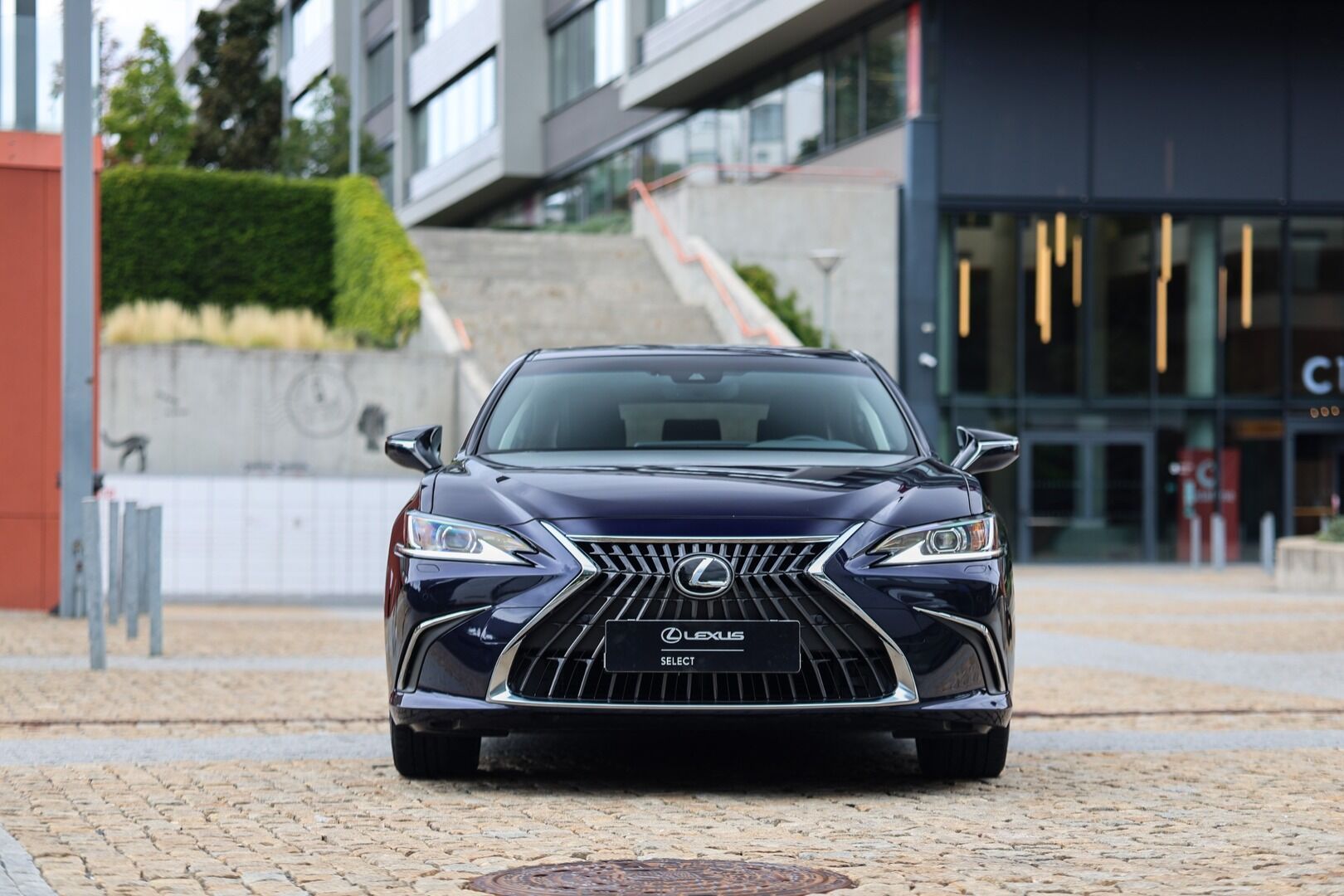 Lexus ES 300h, 300H HEV BUSINESS EDITION - fotka 3