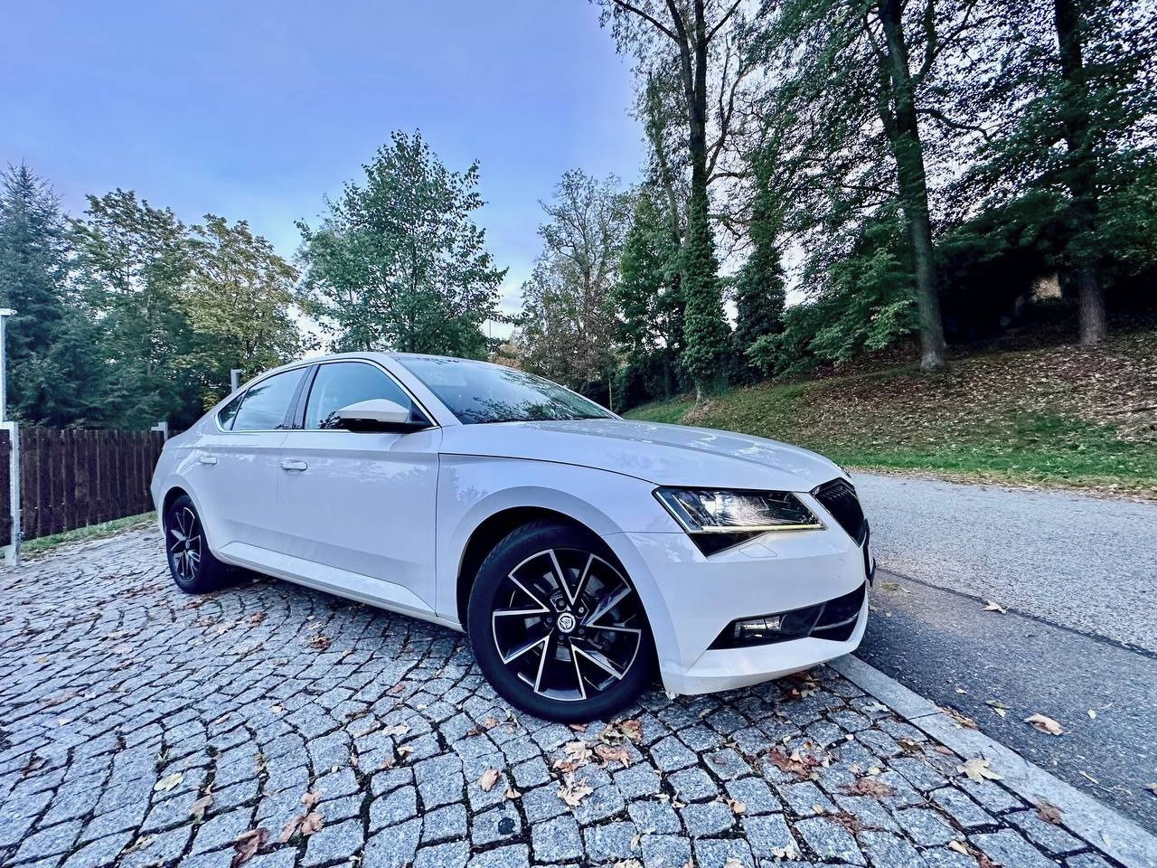 Škoda Superb, 2.0 TDI 110 kW DSG, ČR, servis - fotka 2