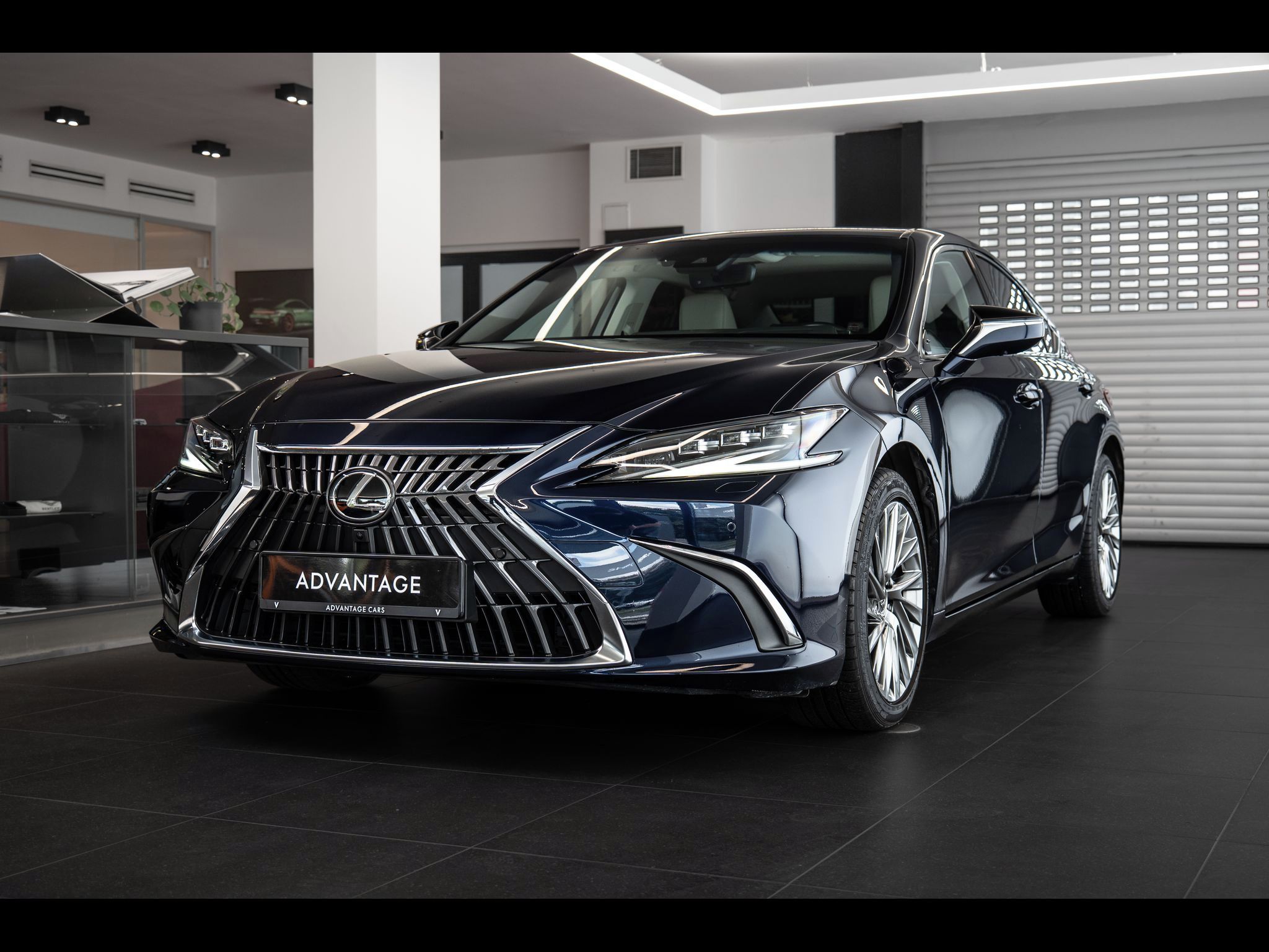 Lexus ES 300h, H/MarkLevinson/360/Vyhřívaná/V