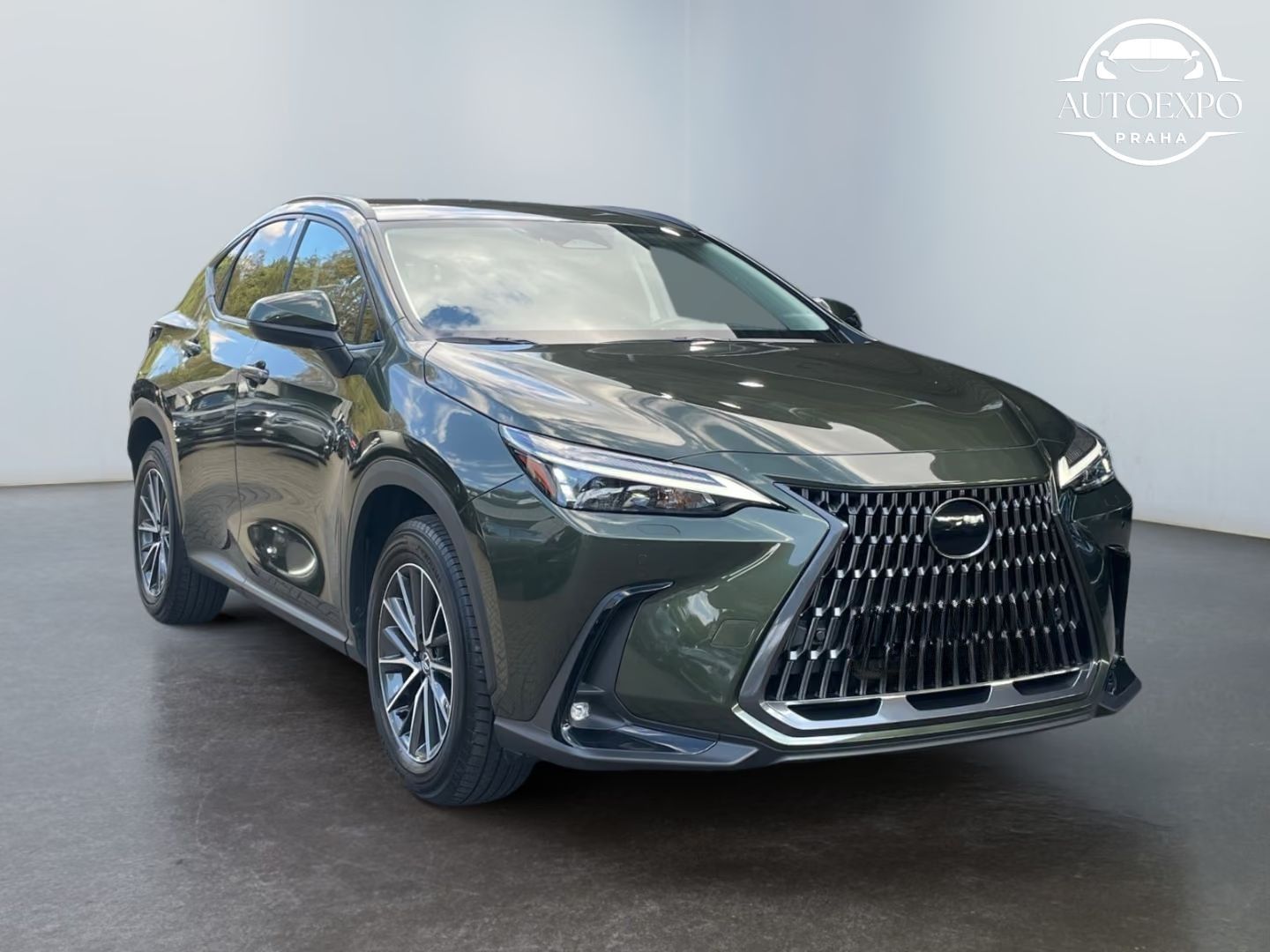 Lexus NX 450h, * E-FOUR Executive Line*Black- - fotka 2