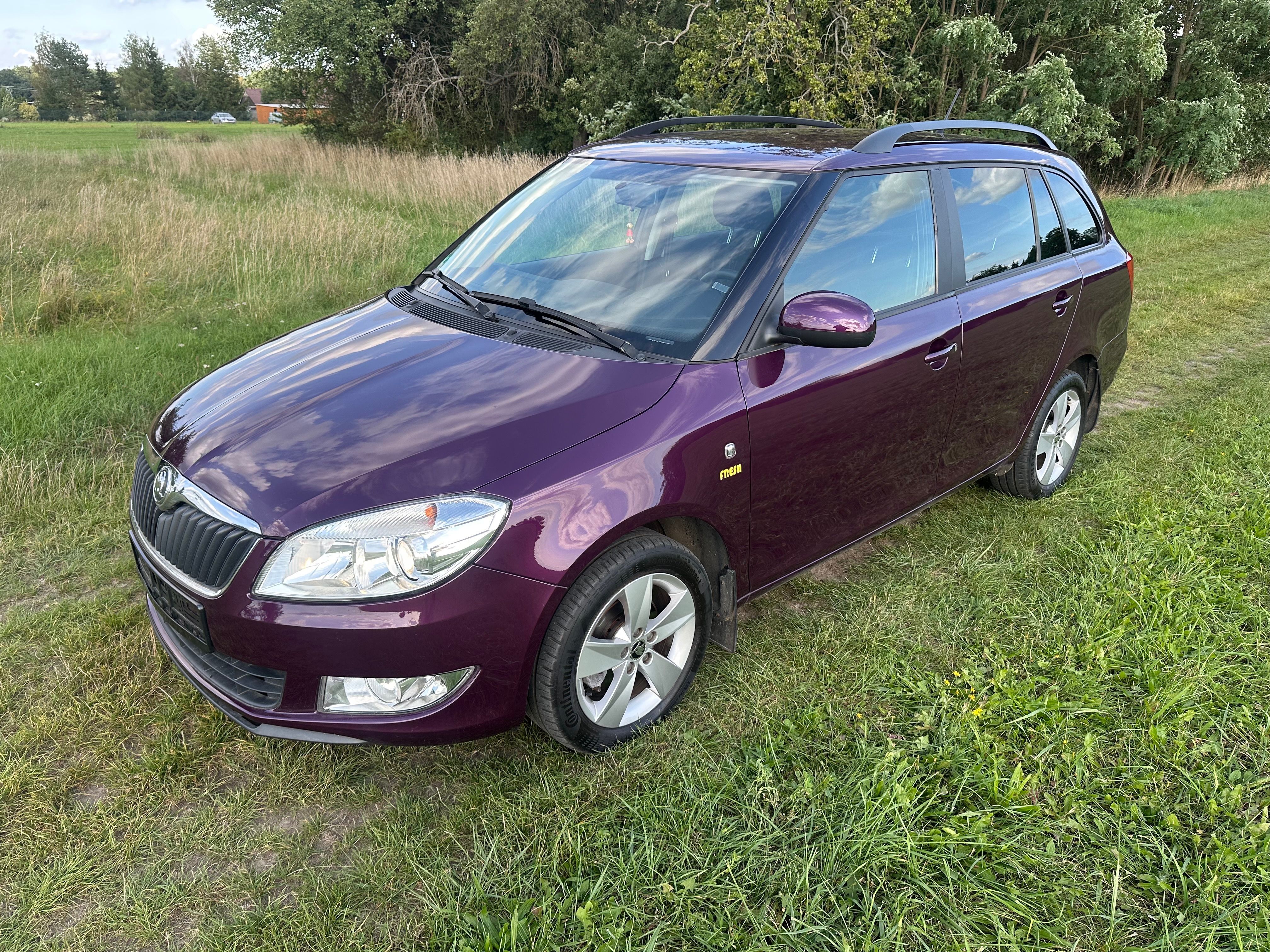 Škoda Fabia, 1.2TSI-63KW-118000-SERVISKA - fotka 3