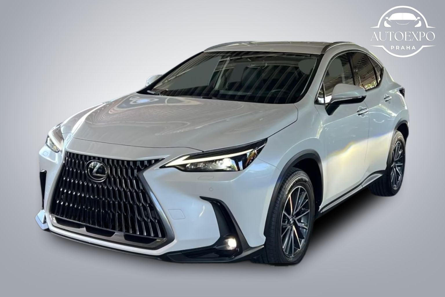 Lexus NX 450h, *E-FOUR Business Line *LED*