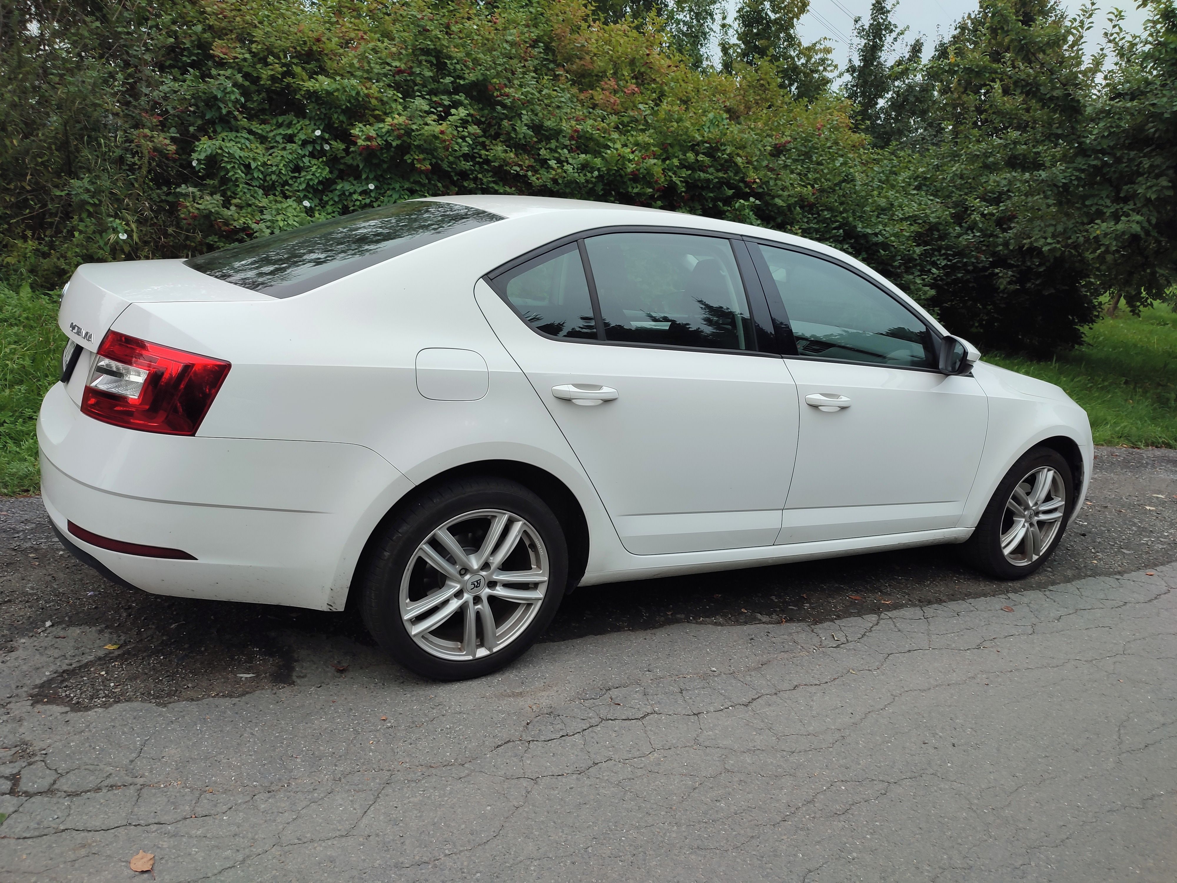 Škoda Octavia, 1.6 TDi 85kw - servisováno - fotka 5