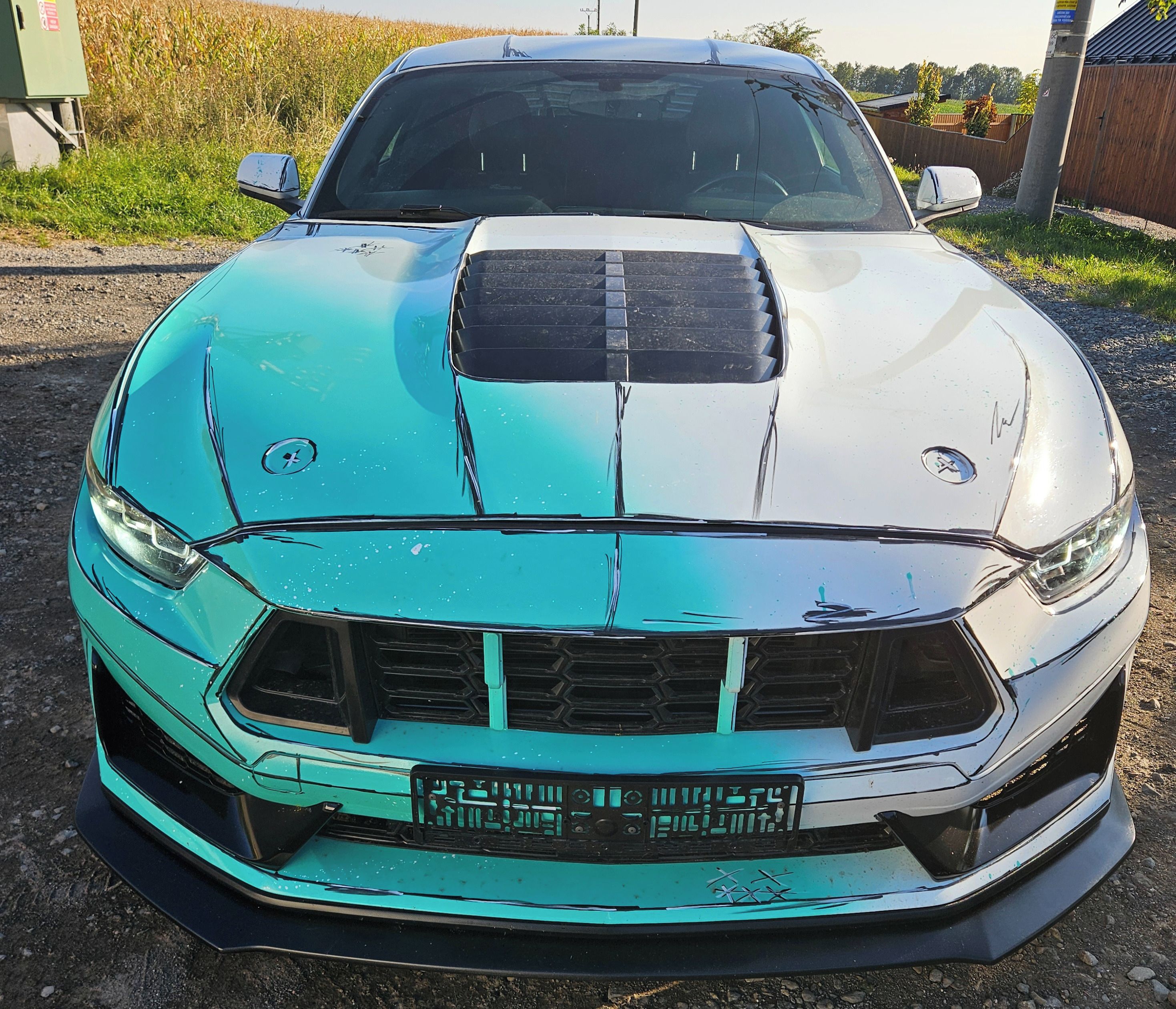Ford Mustang - fotka 3