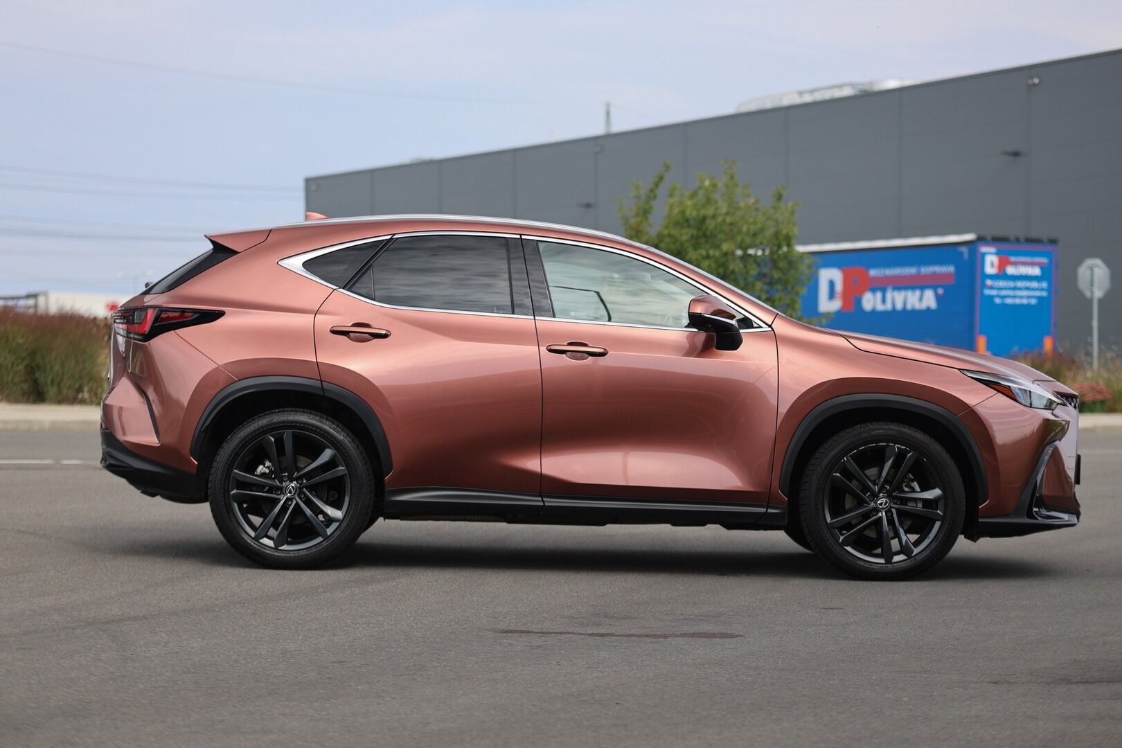 Lexus NX 350h, 350H 2,5 HEV PRESTIGE - fotka 5