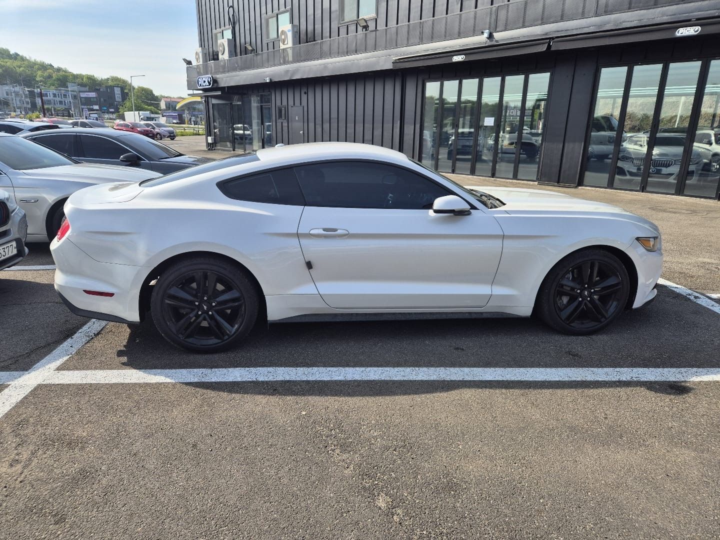 Ford Mustang, 2.3 233KW,EU,DPH,LED,ADAPTIVNI - fotka 5