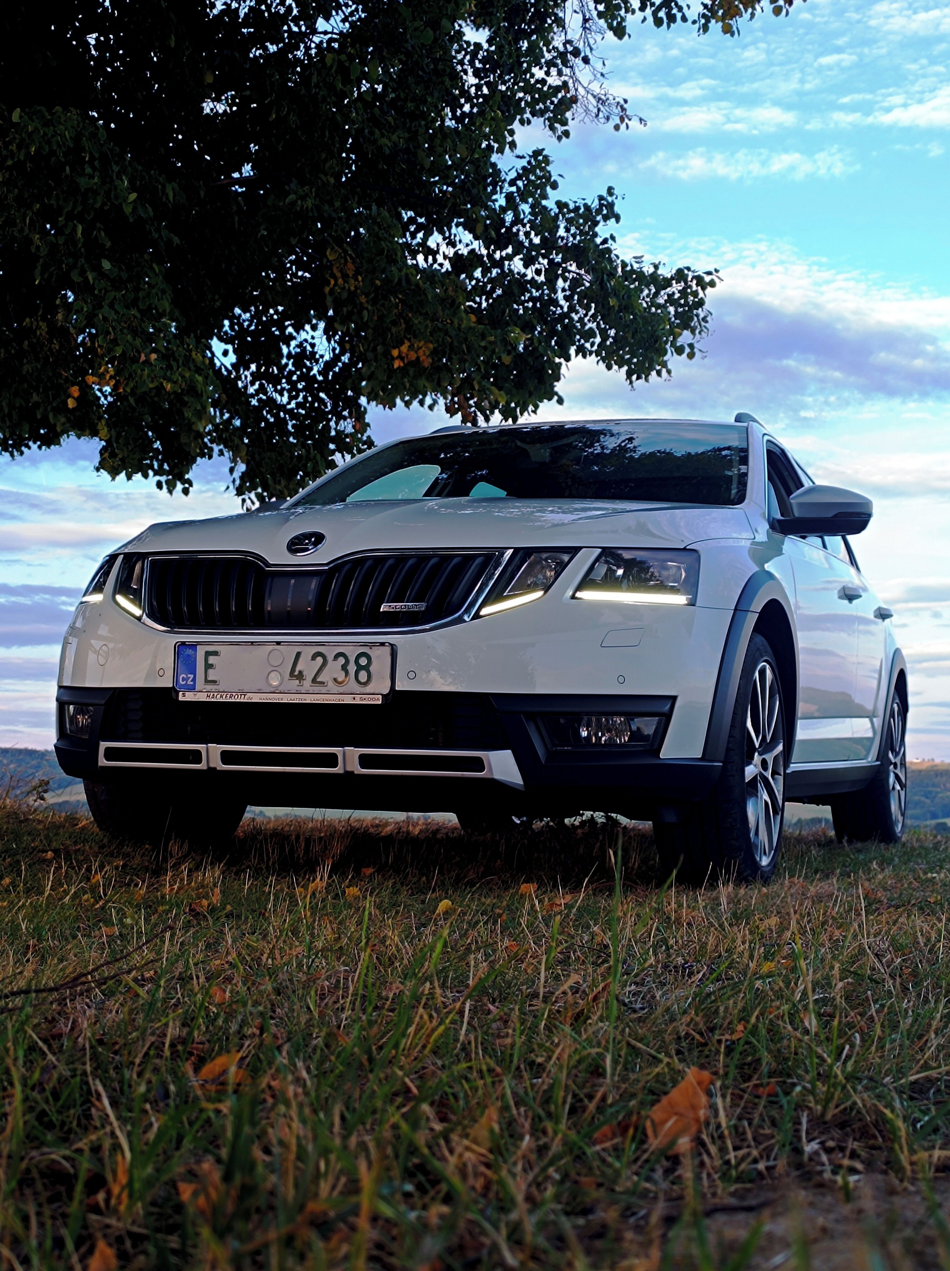 Škoda Octavia, 2.0Tdi 135kw Scout Elegance - fotka 4