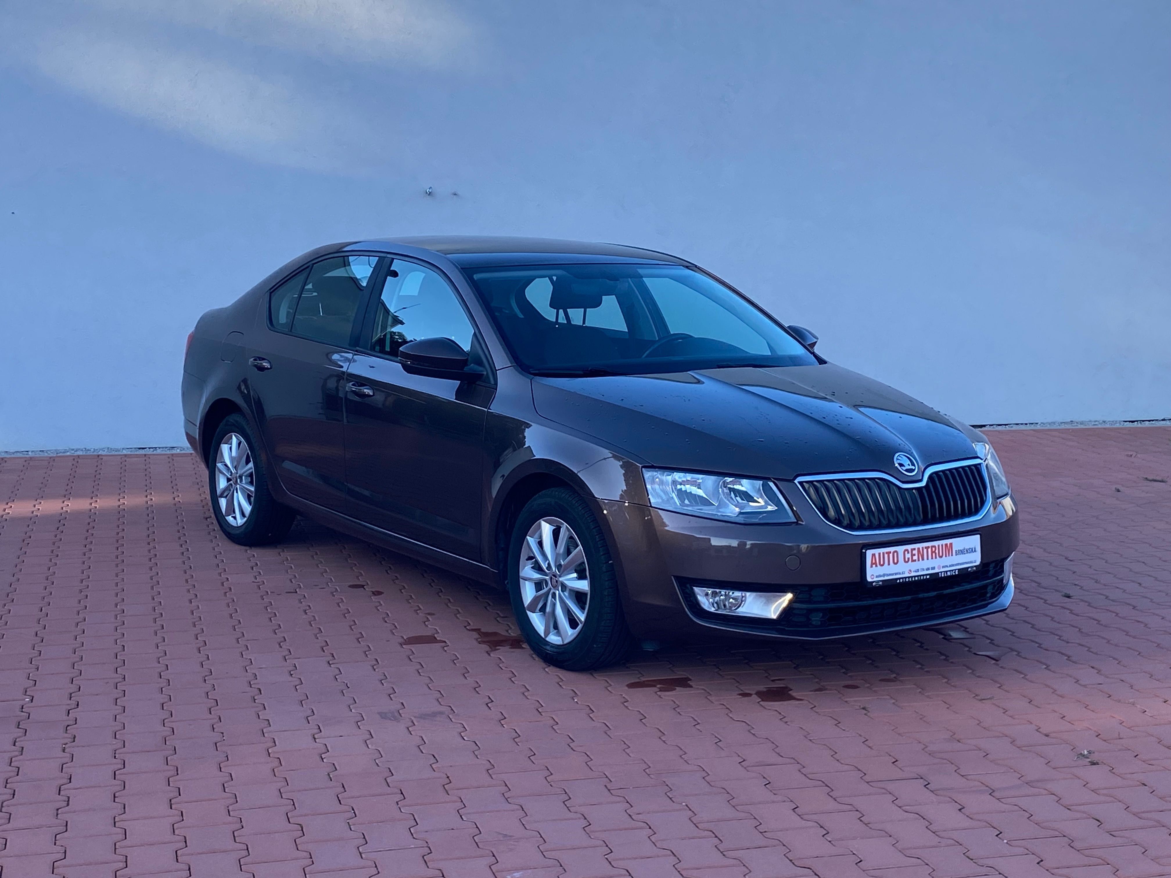 Škoda Octavia, 1.6 TDI 81 KW DIG.KlLIMA - fotka 3