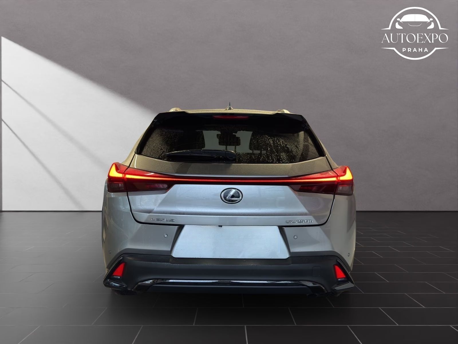 Lexus UX 250h, 250h+F-Sport+D* - fotka 6