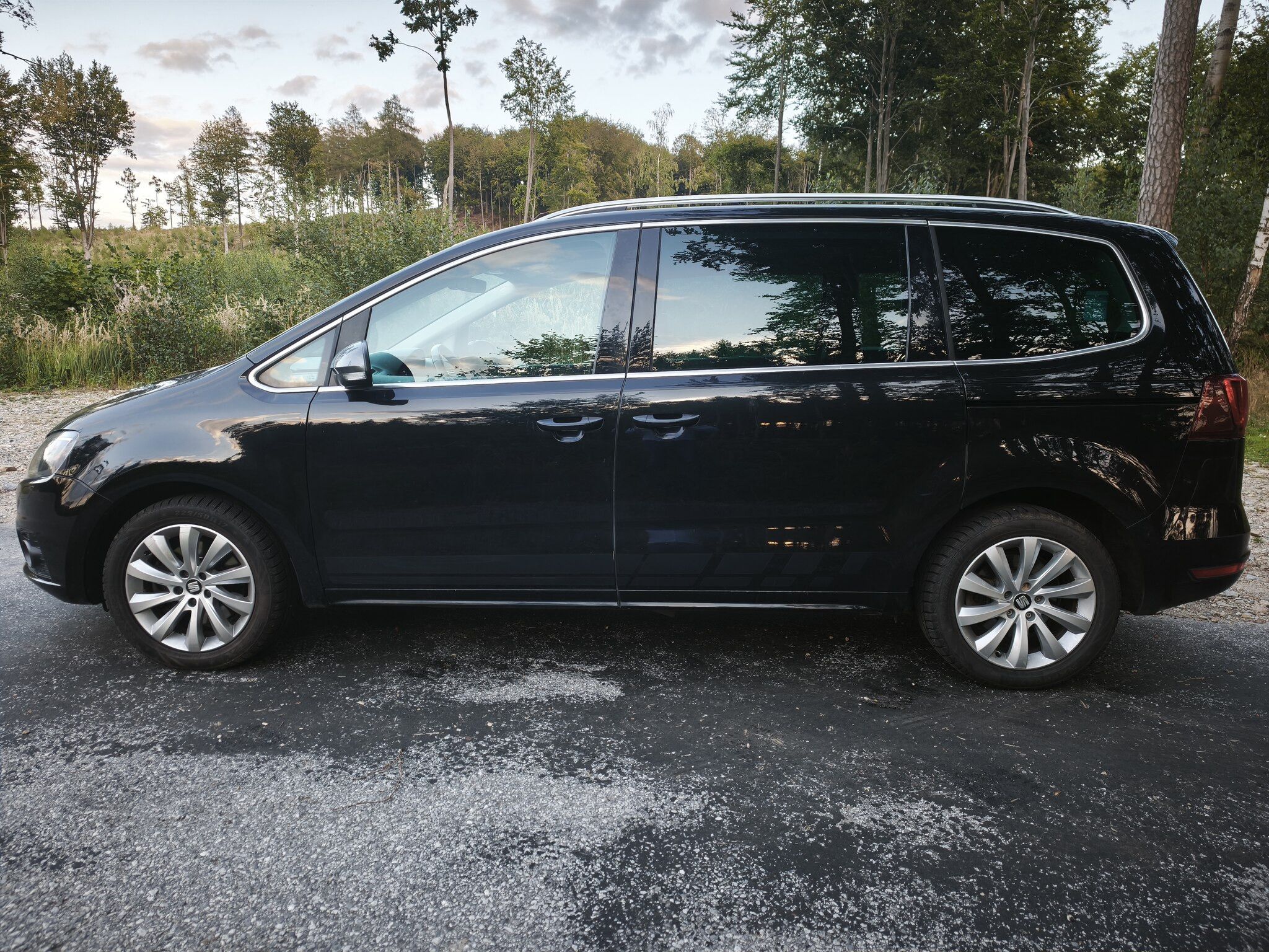 Seat Alhambra, SEAT Alhambra 2.0 TDI 110 kW - fotka 5